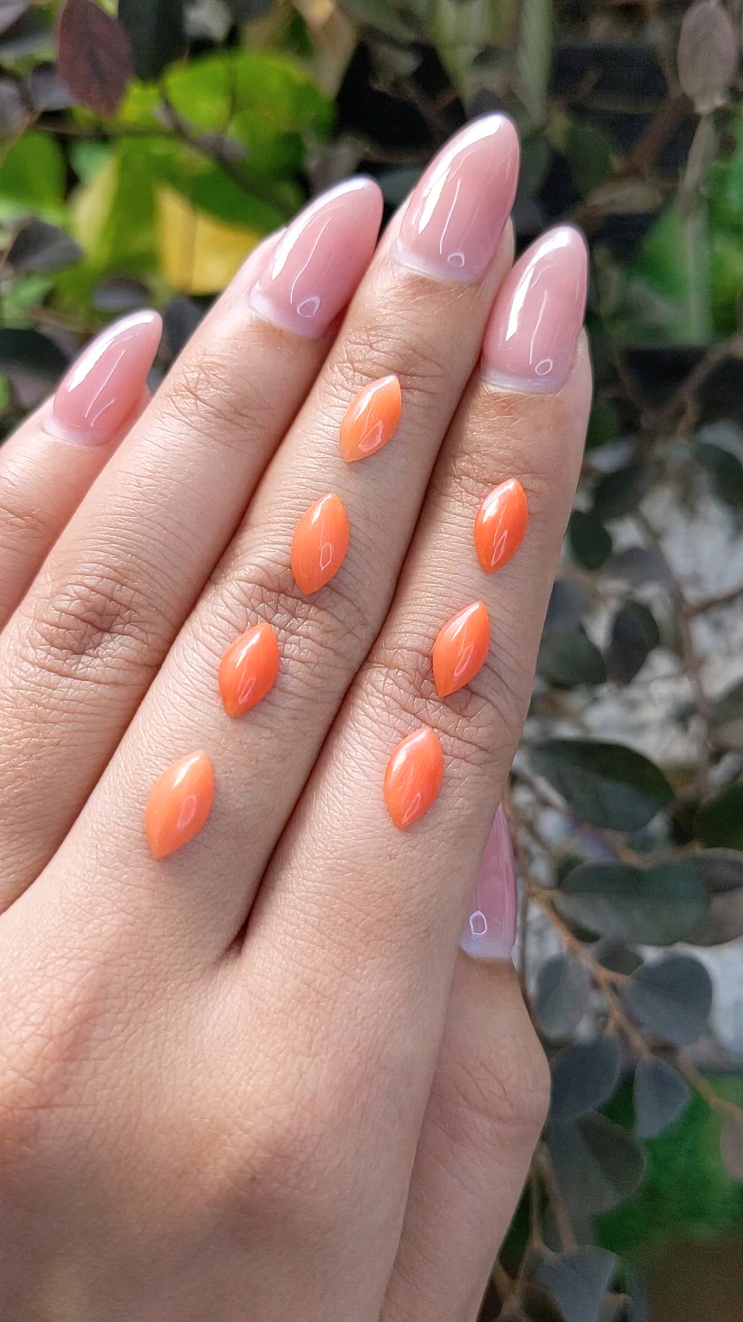 4.20 Ct. Cabochon Coral from Italy Size Video