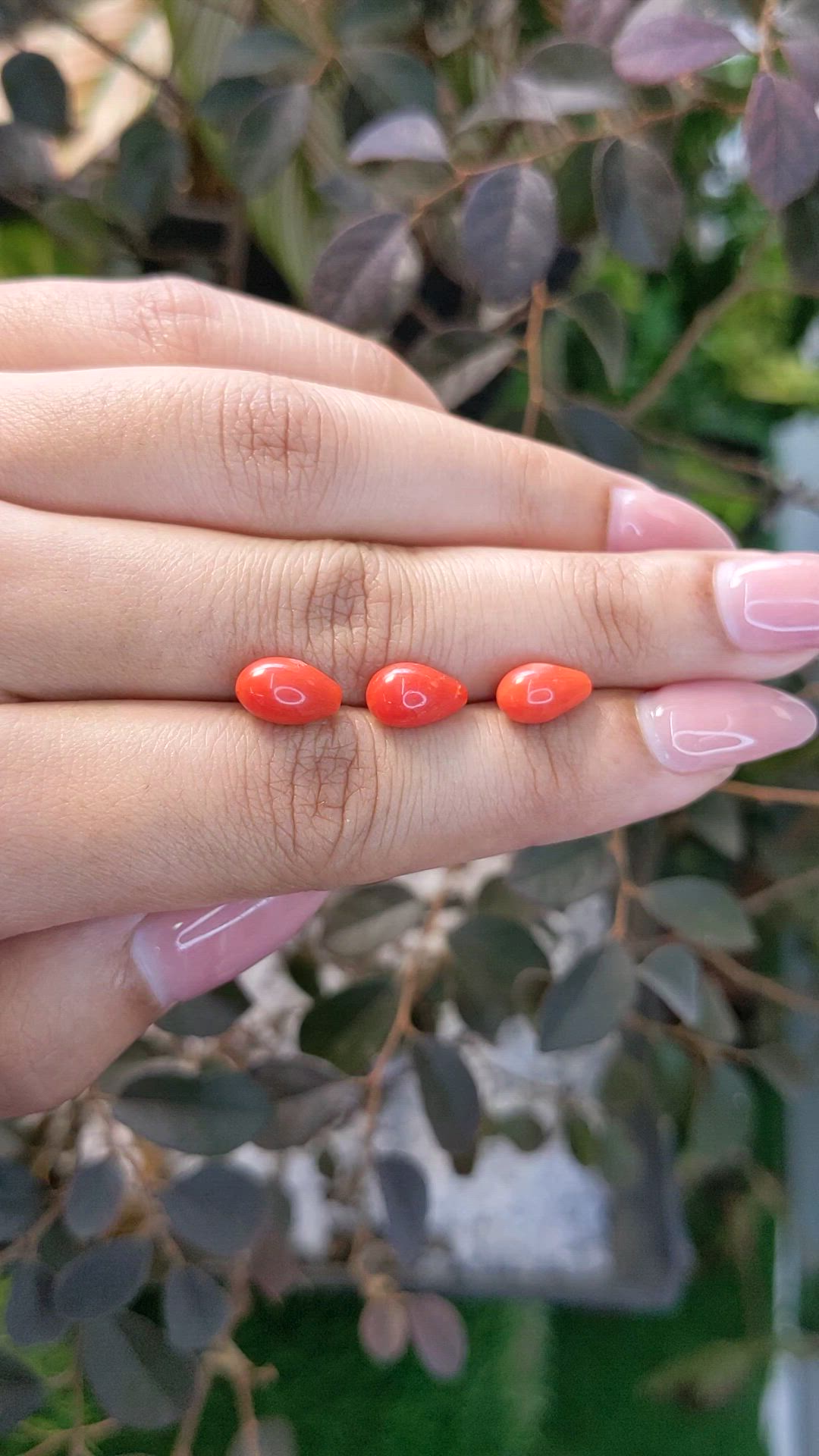 6.40 Ct. Coral from Italy Size Video