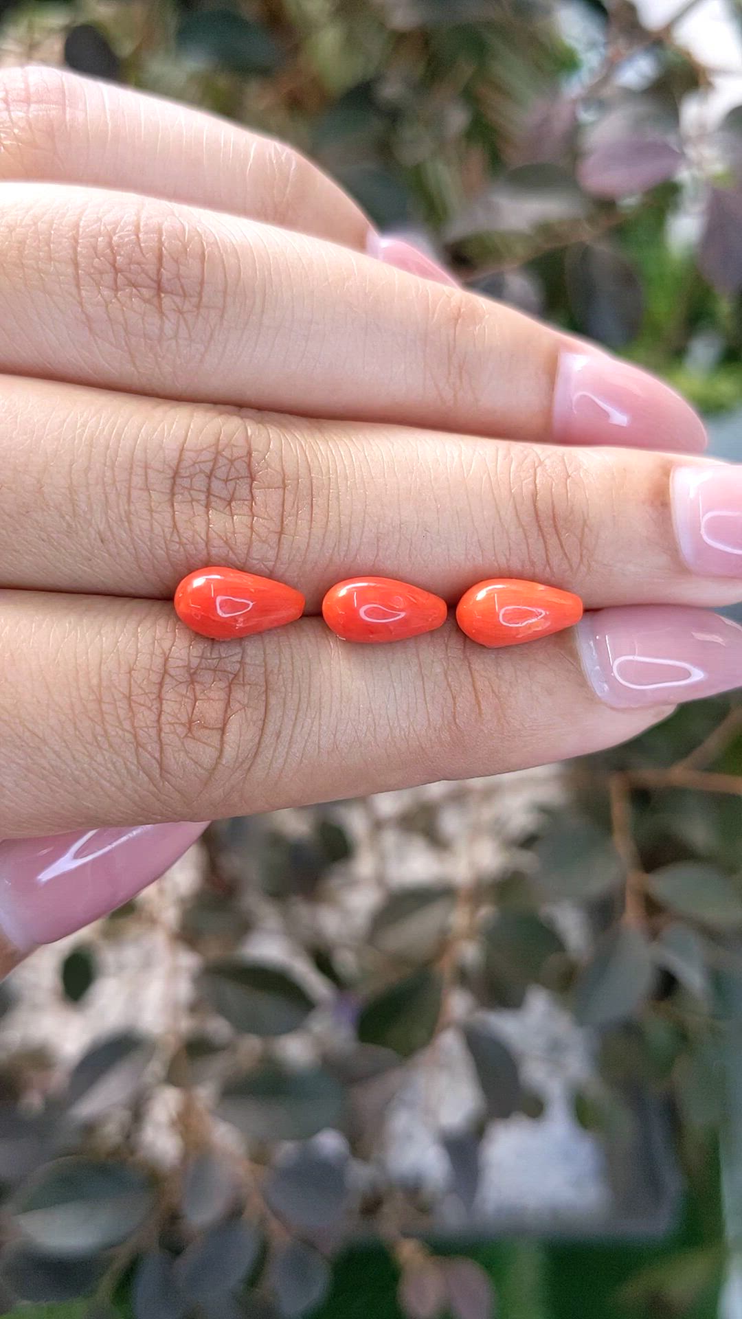 5.54 Ct. Coral from Italy Size Video