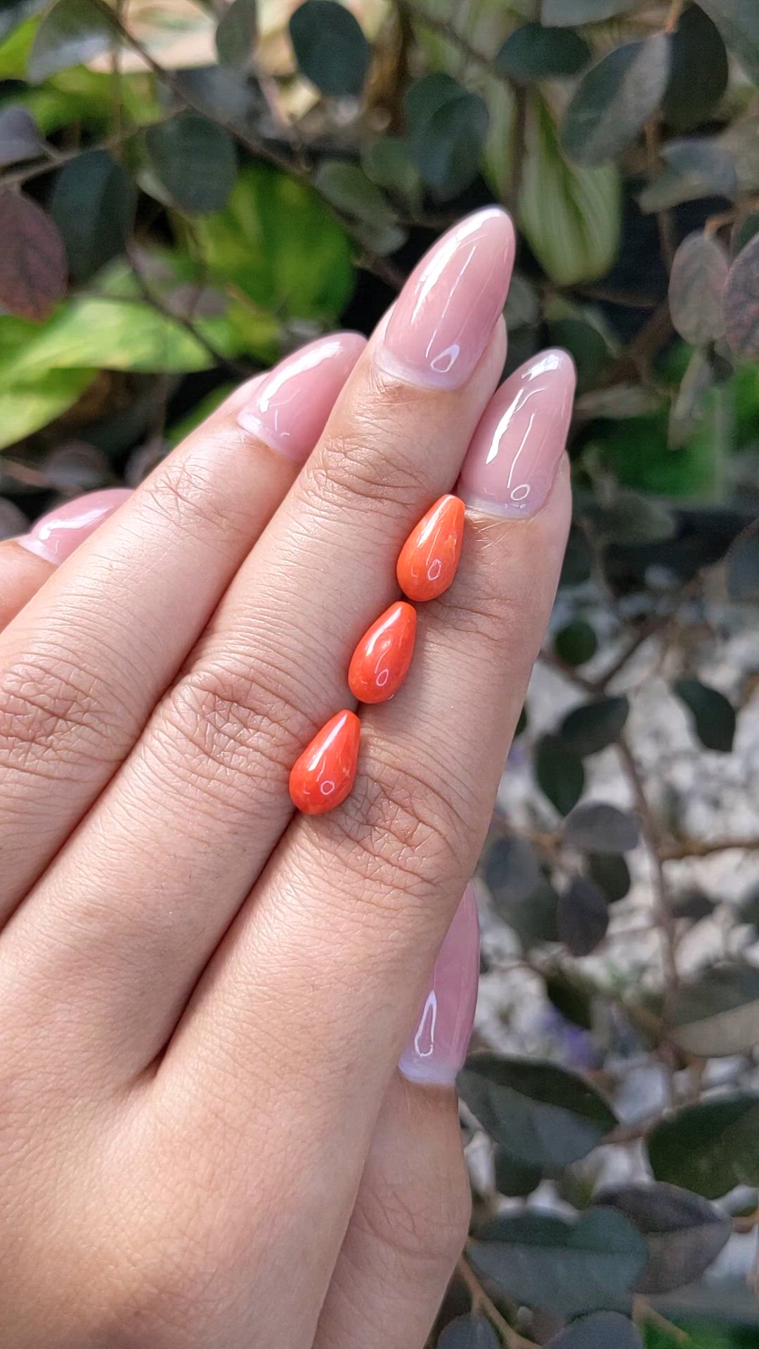 5.54 Ct. Coral from Italy Size Video