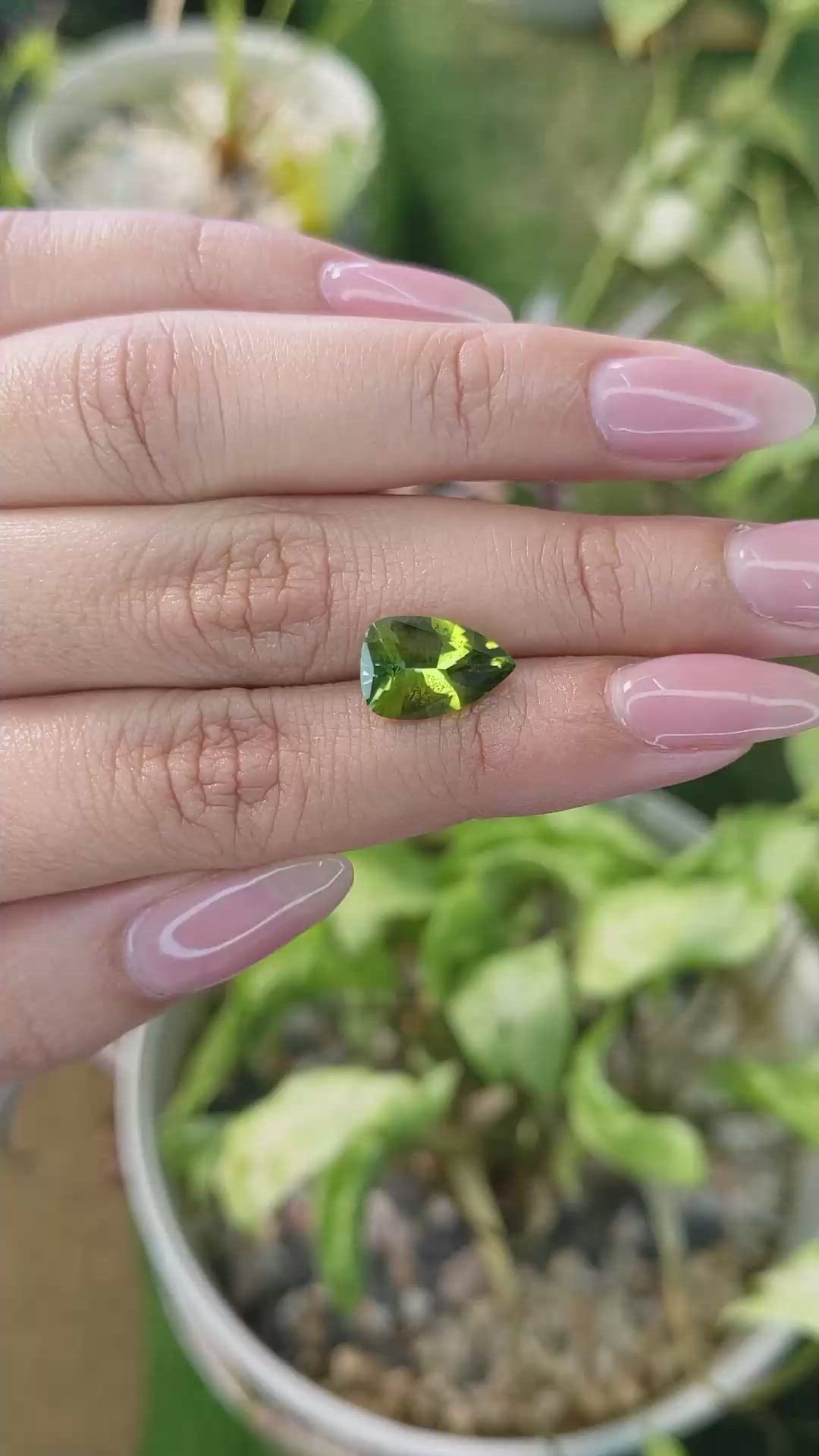 2.79 Ct. Tourmaline from Ceylon (Sri Lanka) Size Video