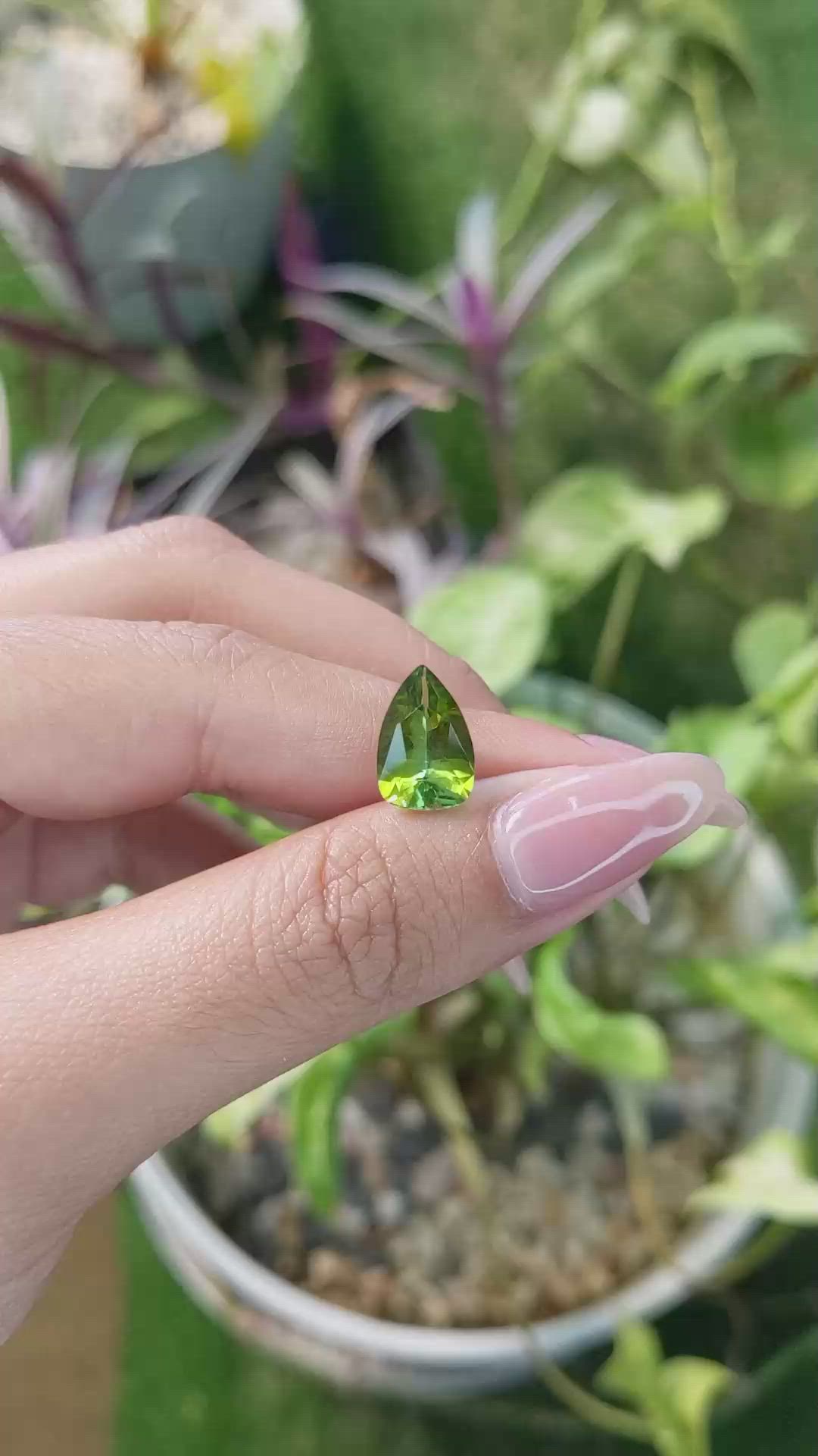 2.79 Ct. Tourmaline from Ceylon (Sri Lanka) Size Video