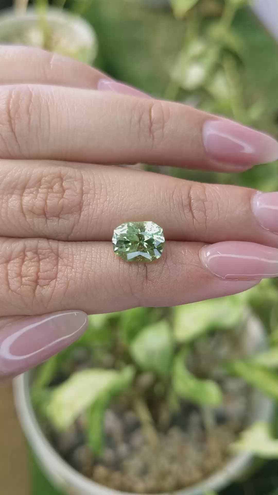 3.06 Ct. Tourmaline from Ceylon (Sri Lanka) Size Video