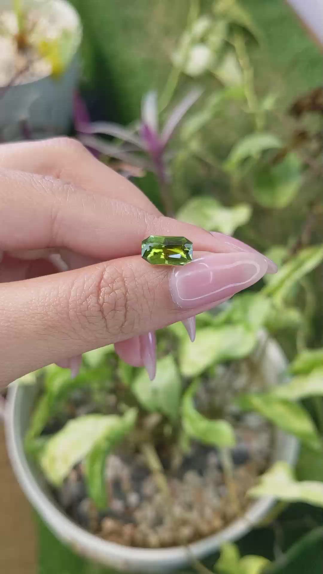 2.04 Ct. Tourmaline from Ceylon (Sri Lanka) Size Video