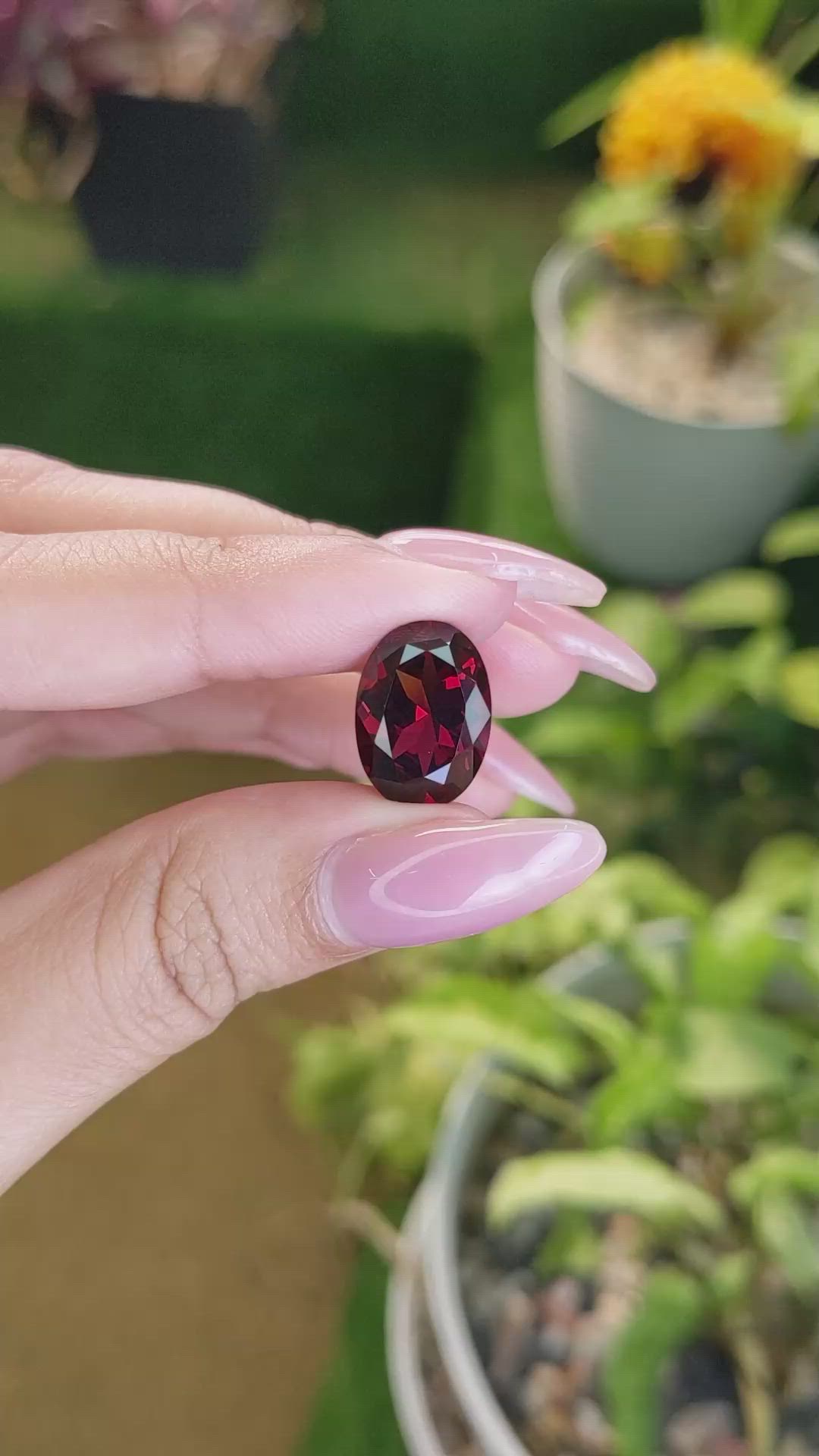8.21 Ct. Rhodolite Garnet from Ceylon (Sri Lanka) Size Video