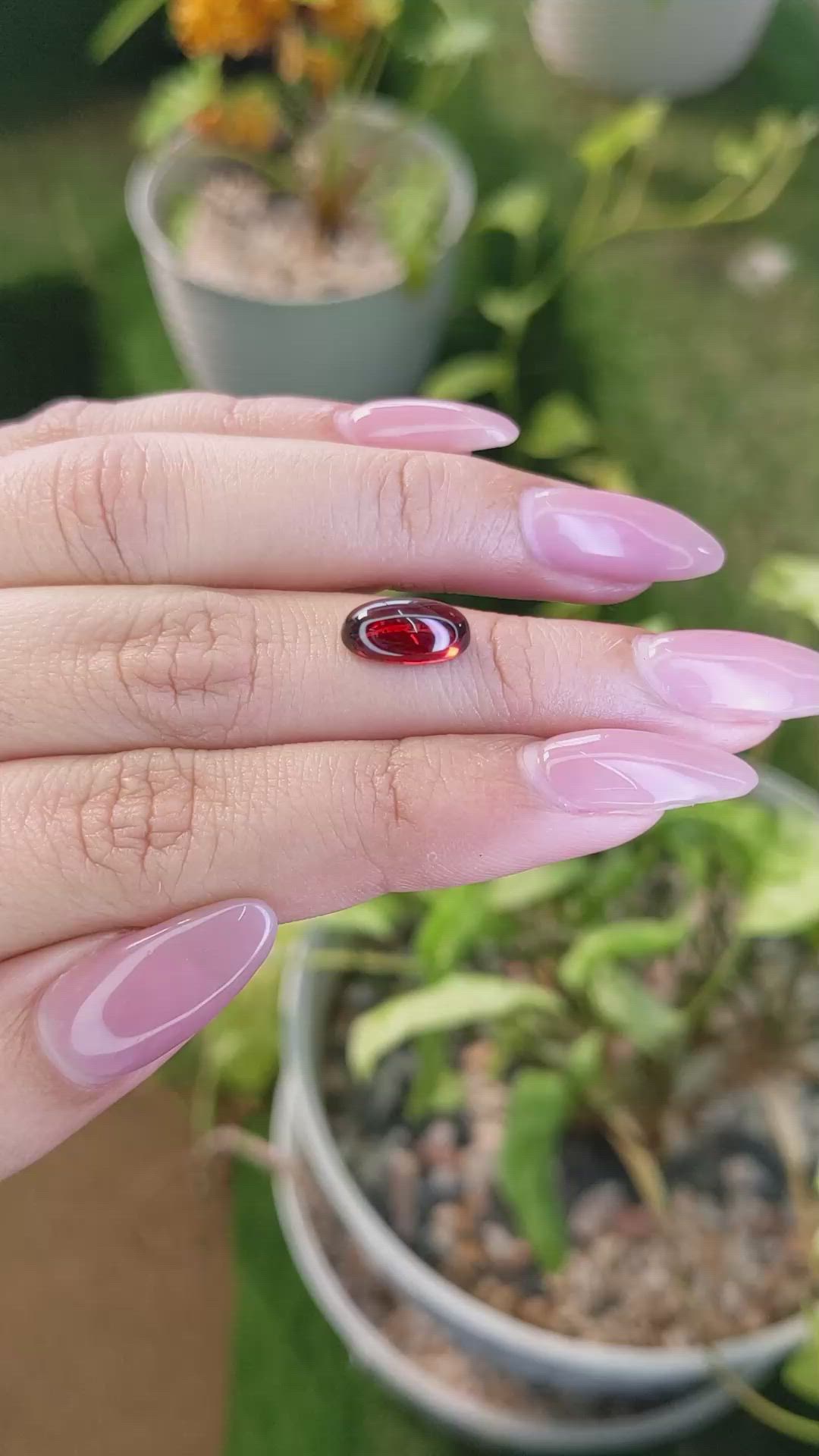 3.04 Ct. Cabochon Almandine Garnet from Ceylon (Sri Lanka) Size Video