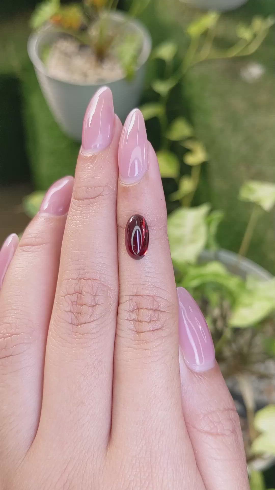 3.04 Ct. Cabochon Almandine Garnet from Ceylon (Sri Lanka) Size Video