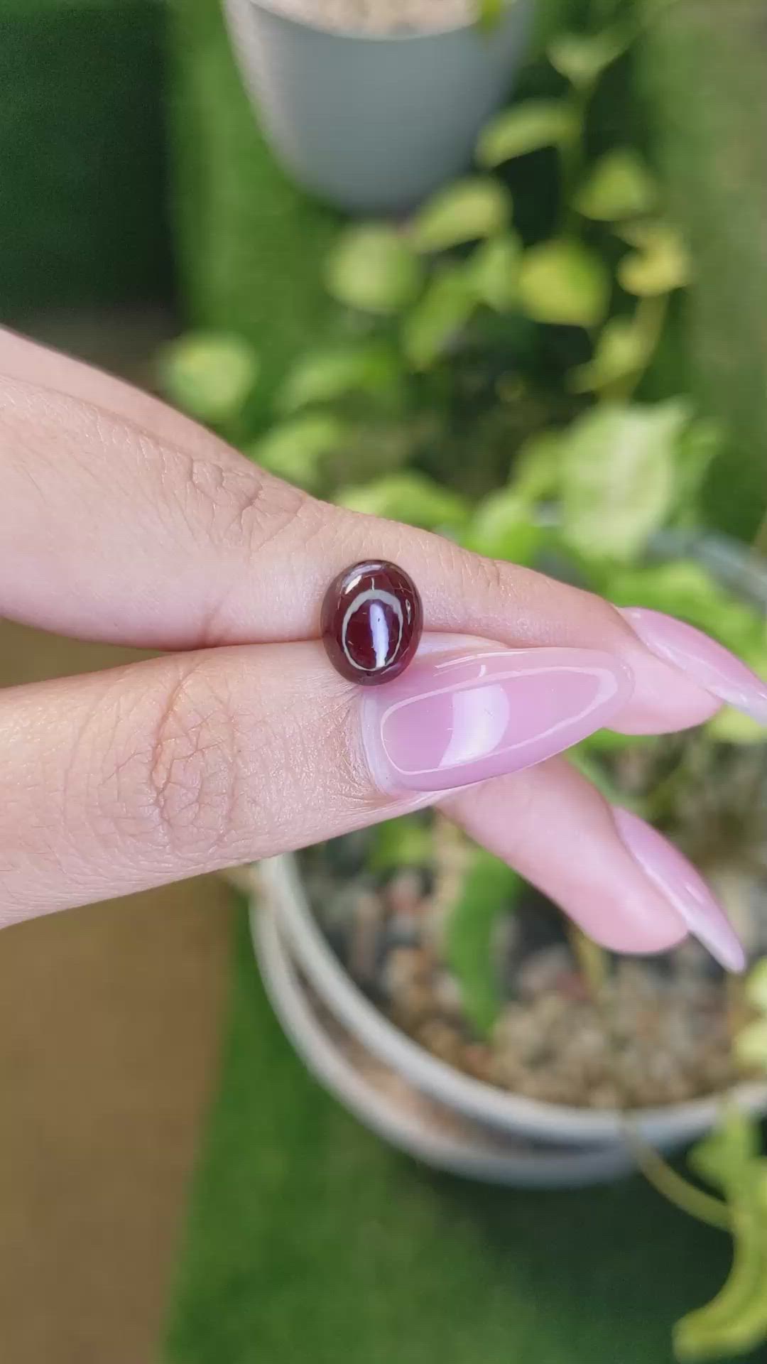3.63 Ct. Cabochon Garnet from Ceylon (Sri Lanka) Size Video