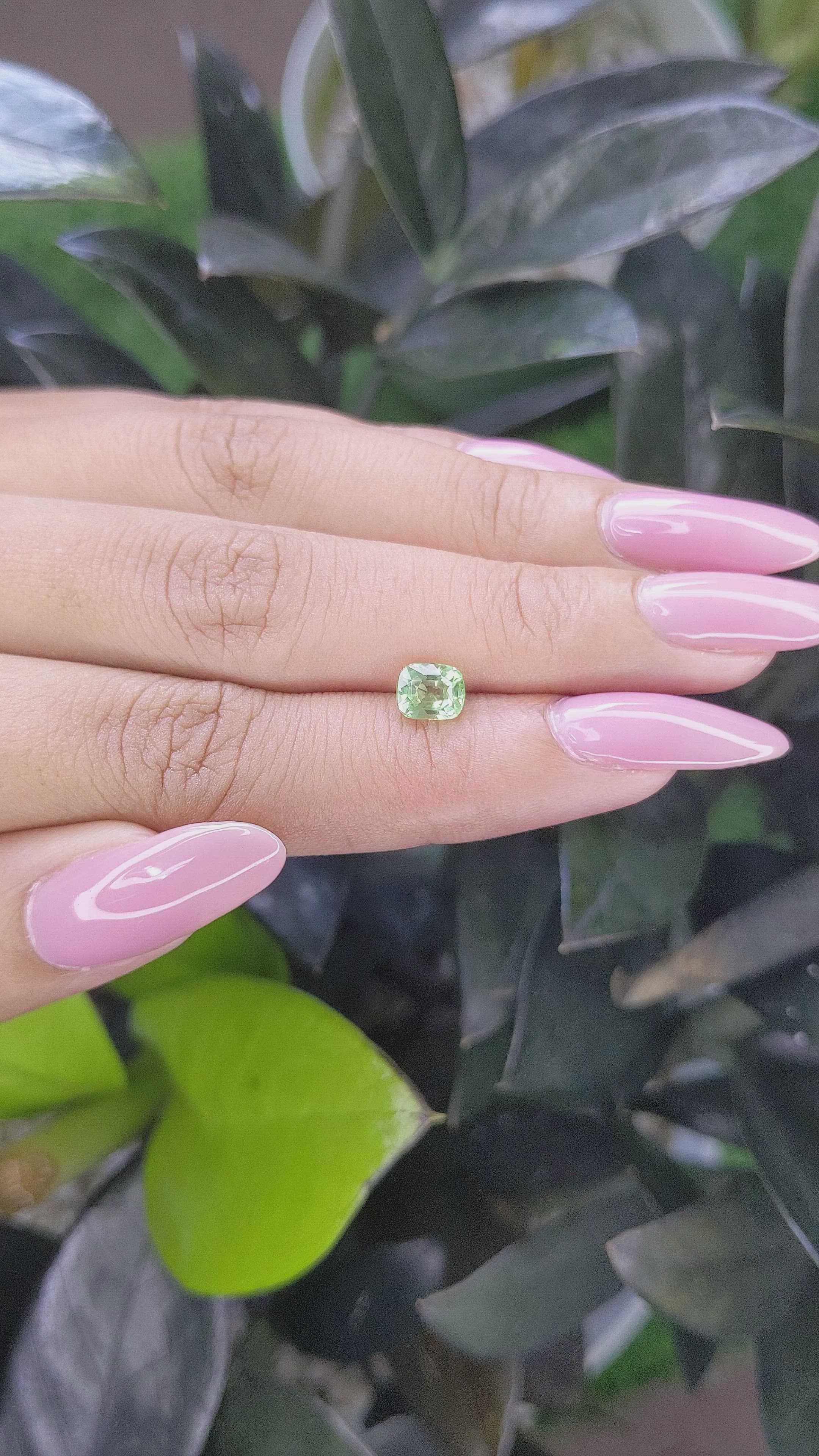 1.05 Ct. Tsavorite Garnet from Tanzania Size Video