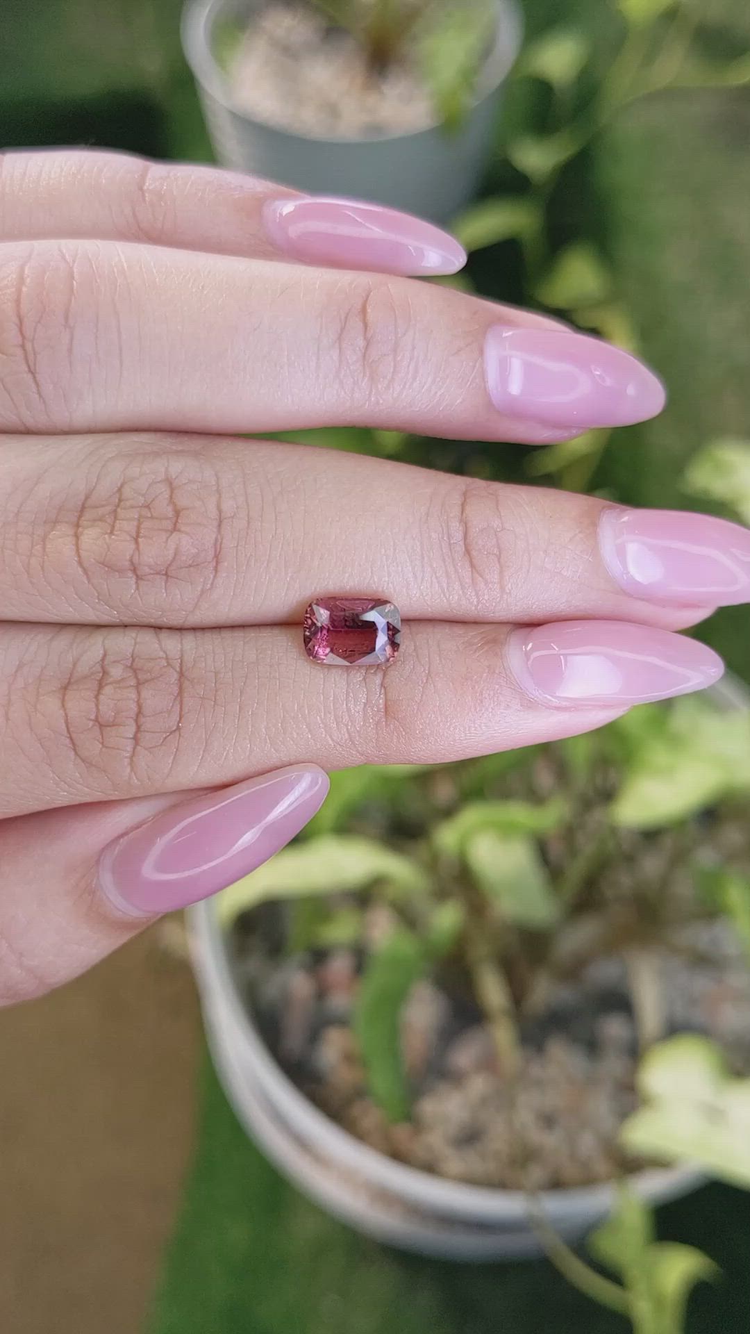 1.61 Ct. Tourmaline from Ceylon (Sri Lanka) Size Video