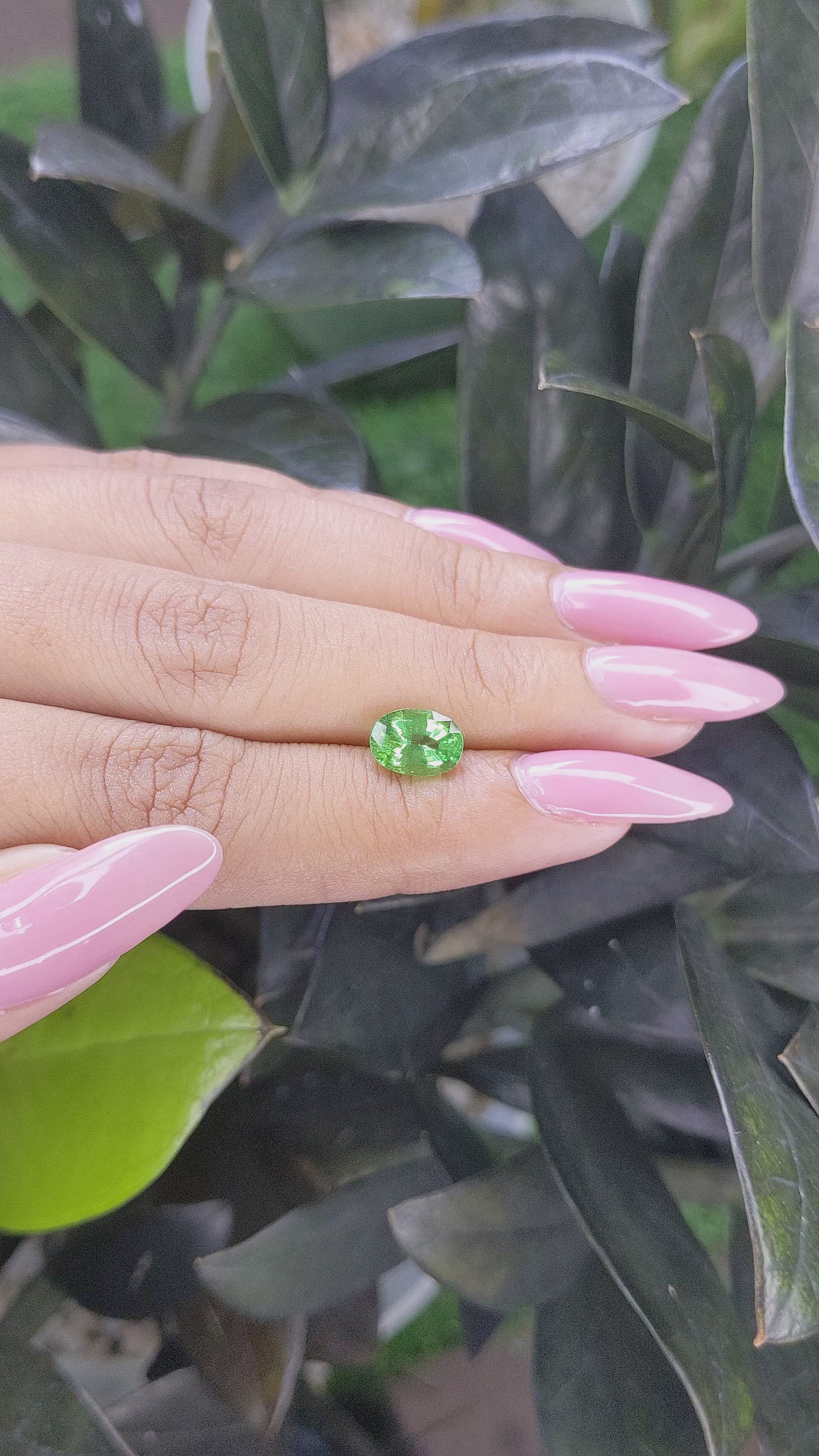 1.69 Ct. Tsavorite Garnet from Tanzania Size Video