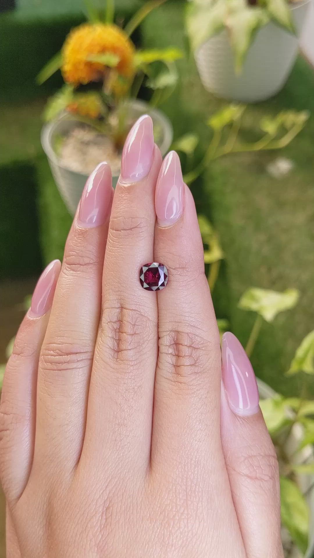 1.72 Ct. Rhodolite Garnet from Ceylon (Sri Lanka) Size Video