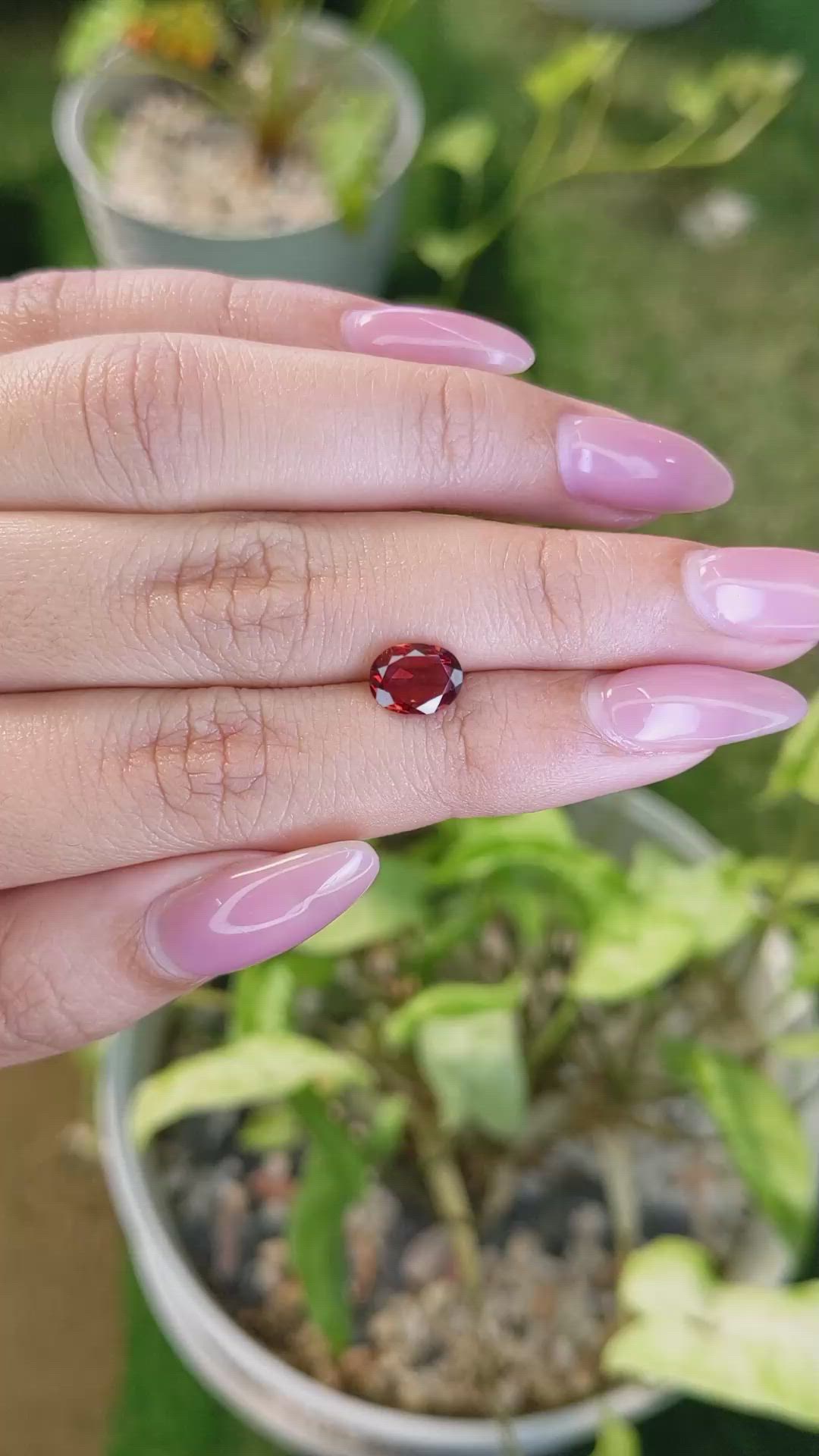 1.71 Ct. Almandine Garnet from Ceylon (Sri Lanka) Size Video