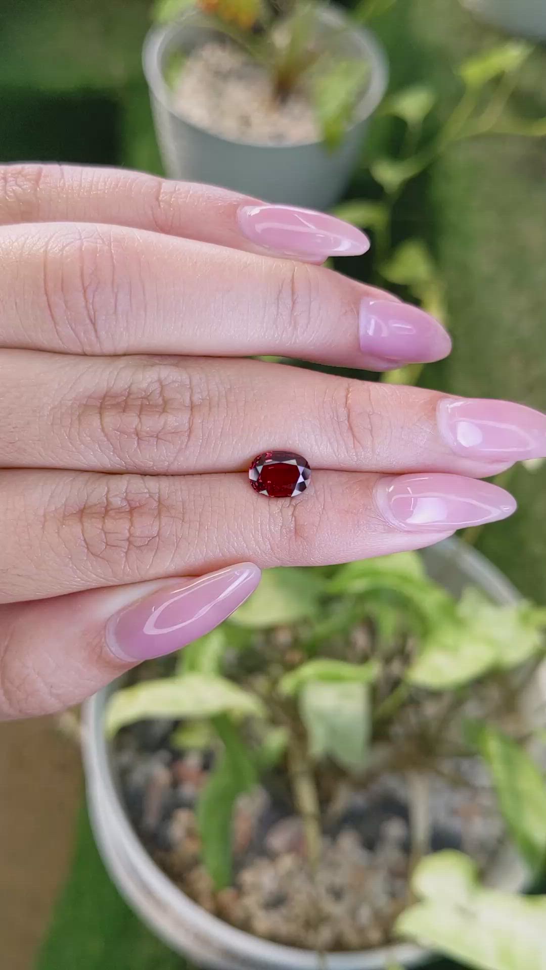 1.53 Ct. Almandine Garnet from Ceylon (Sri Lanka) Size Video