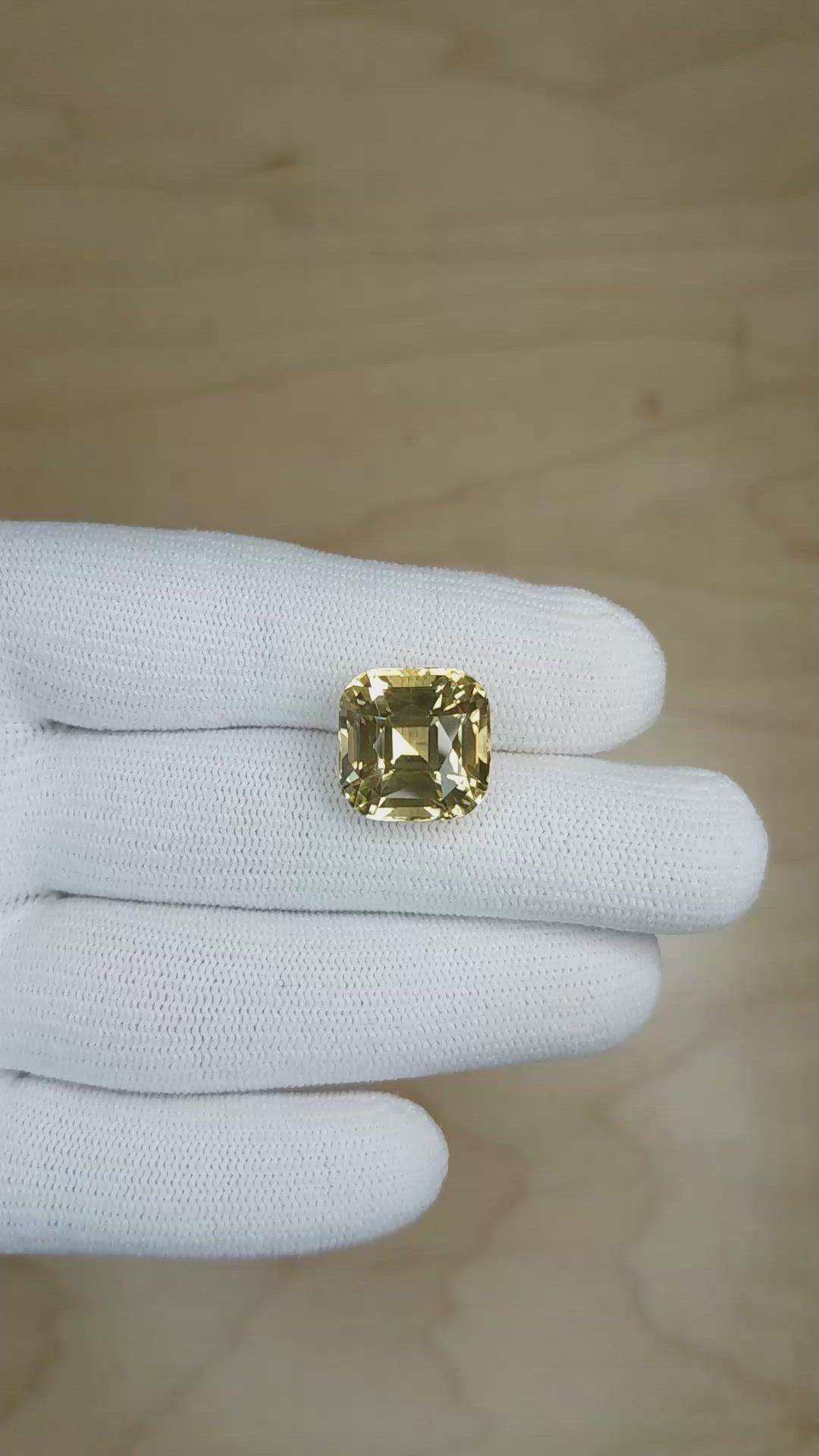 13.53 Ct. Tourmaline from Ceylon (Sri Lanka) Size Video