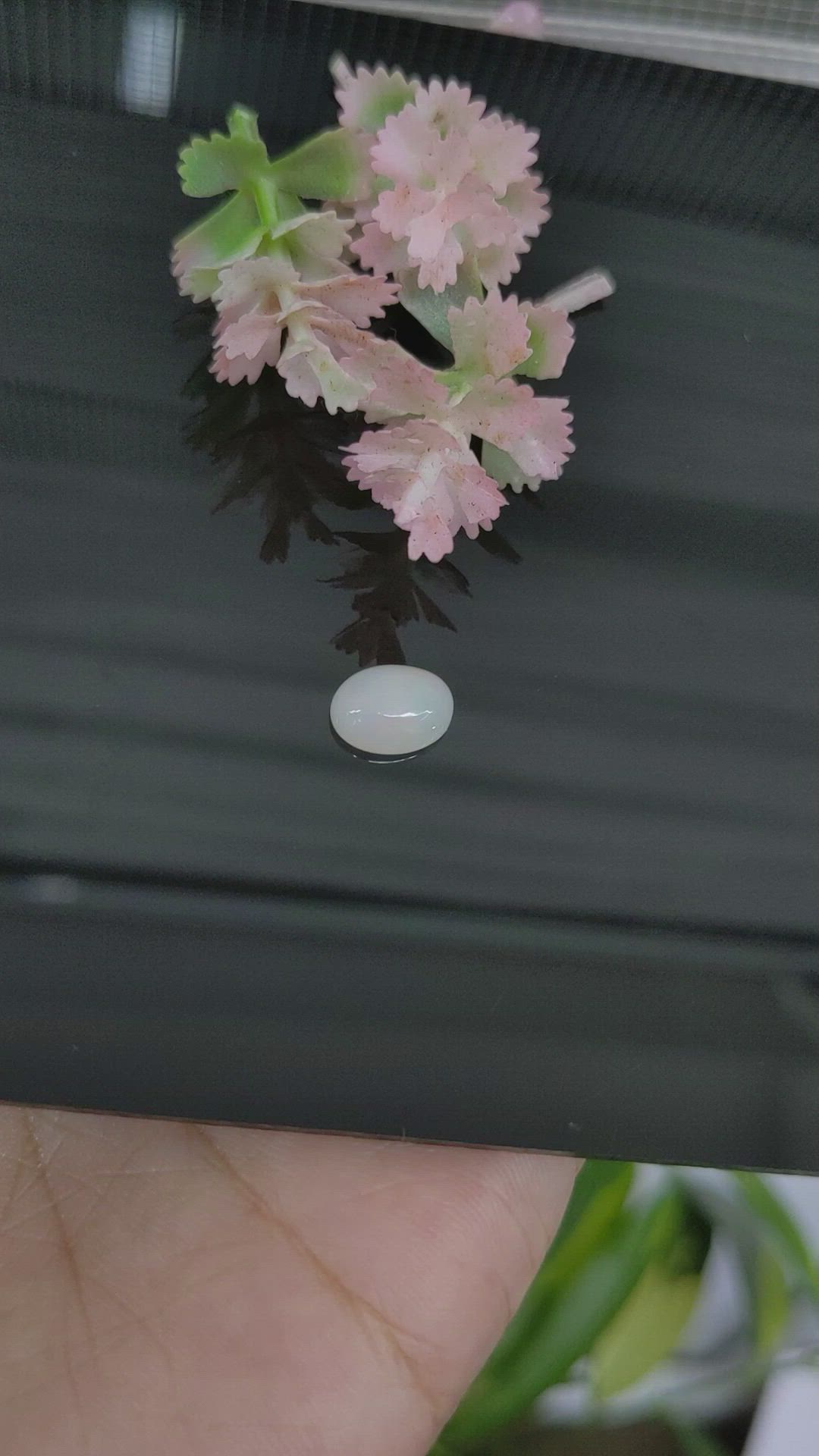 1.18 Ct. Cabochon White Opal from Australia Size Video