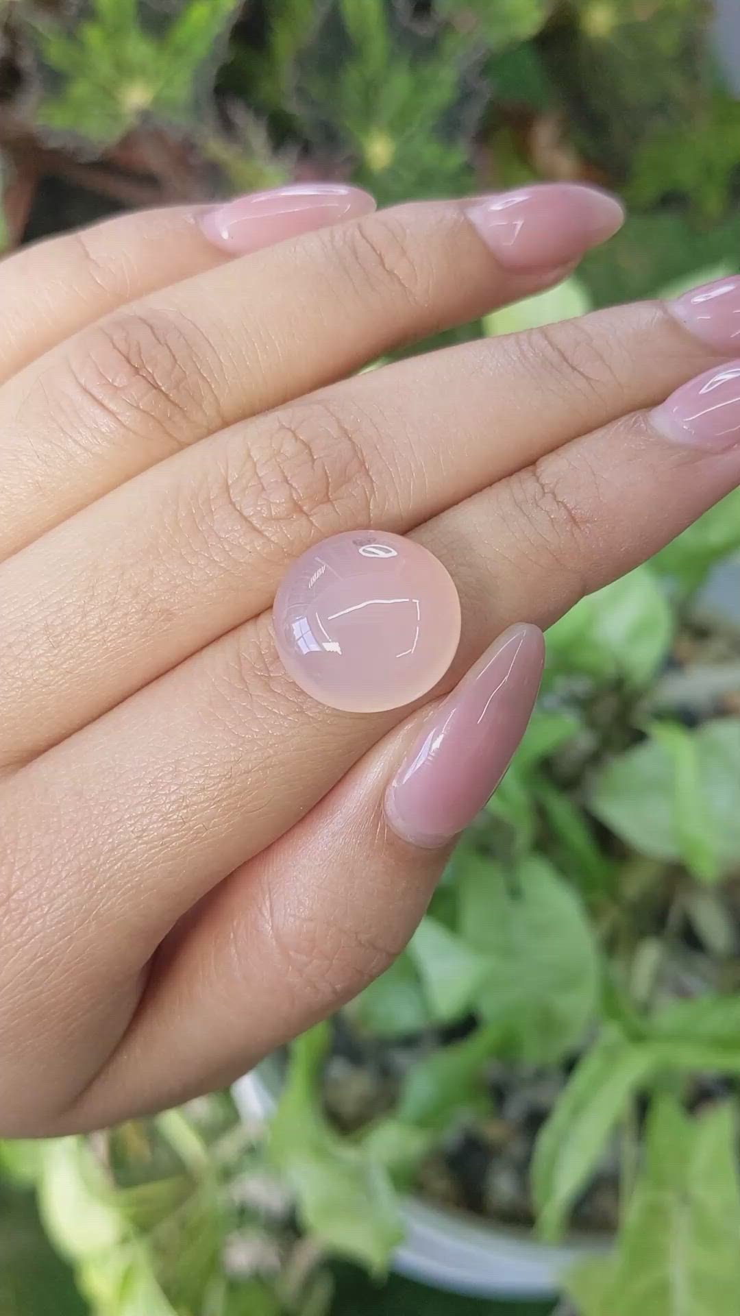 15.03 Ct. Cabochon Rose Quartz from Ceylon (Sri Lanka) Size Video