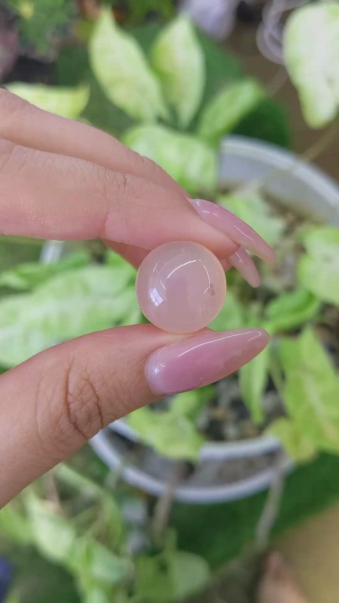 15.03 Ct. Cabochon Rose Quartz from Ceylon (Sri Lanka) Size Video