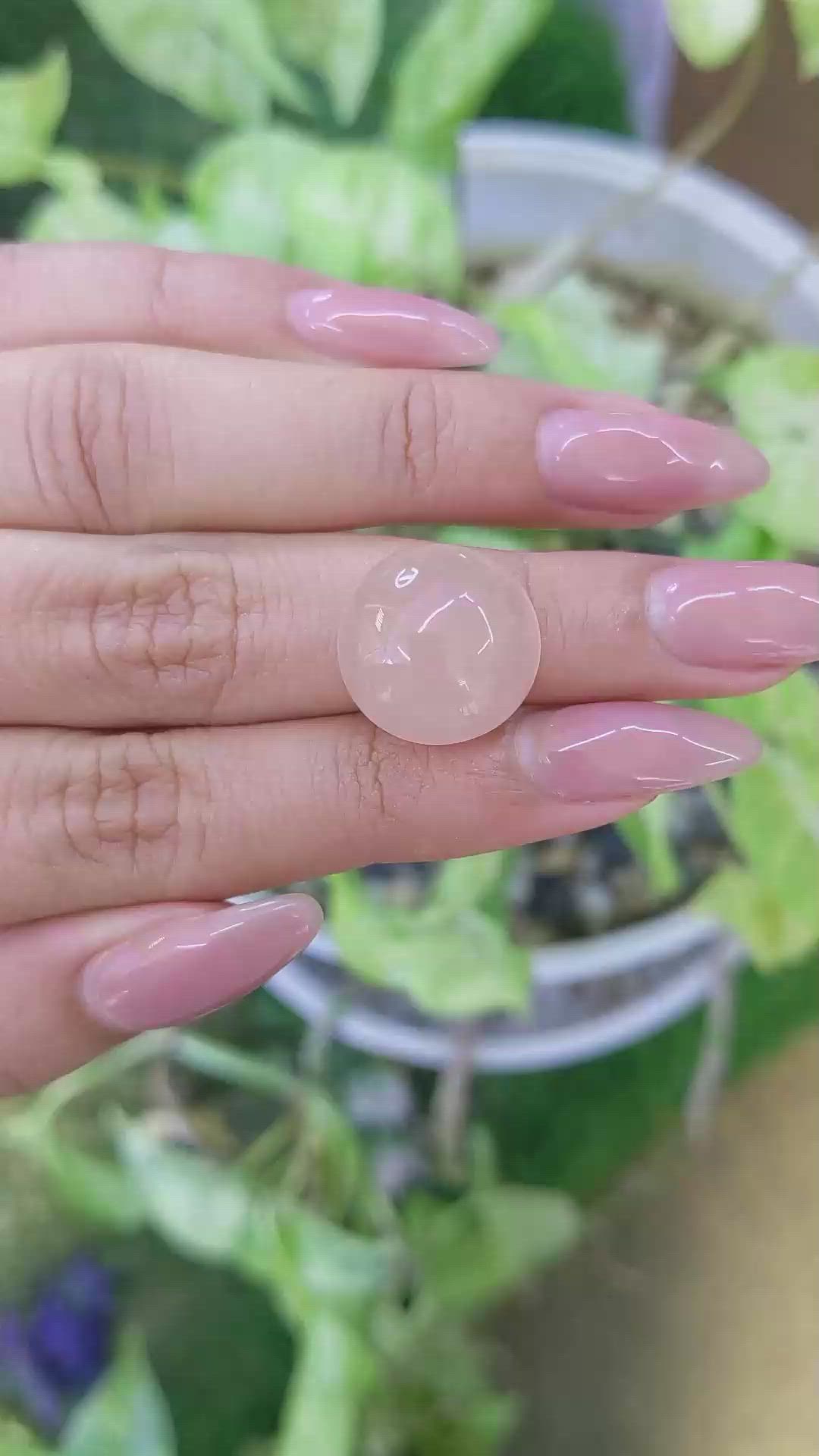 13.11 Ct. Cabochon Rose Quartz from Ceylon (Sri Lanka) Size Video