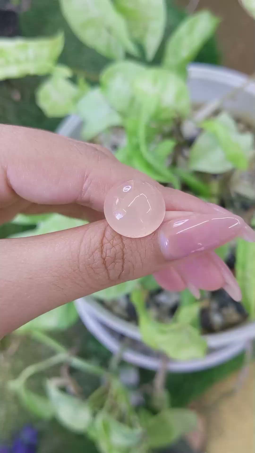 13.11 Ct. Cabochon Rose Quartz from Ceylon (Sri Lanka) Size Video