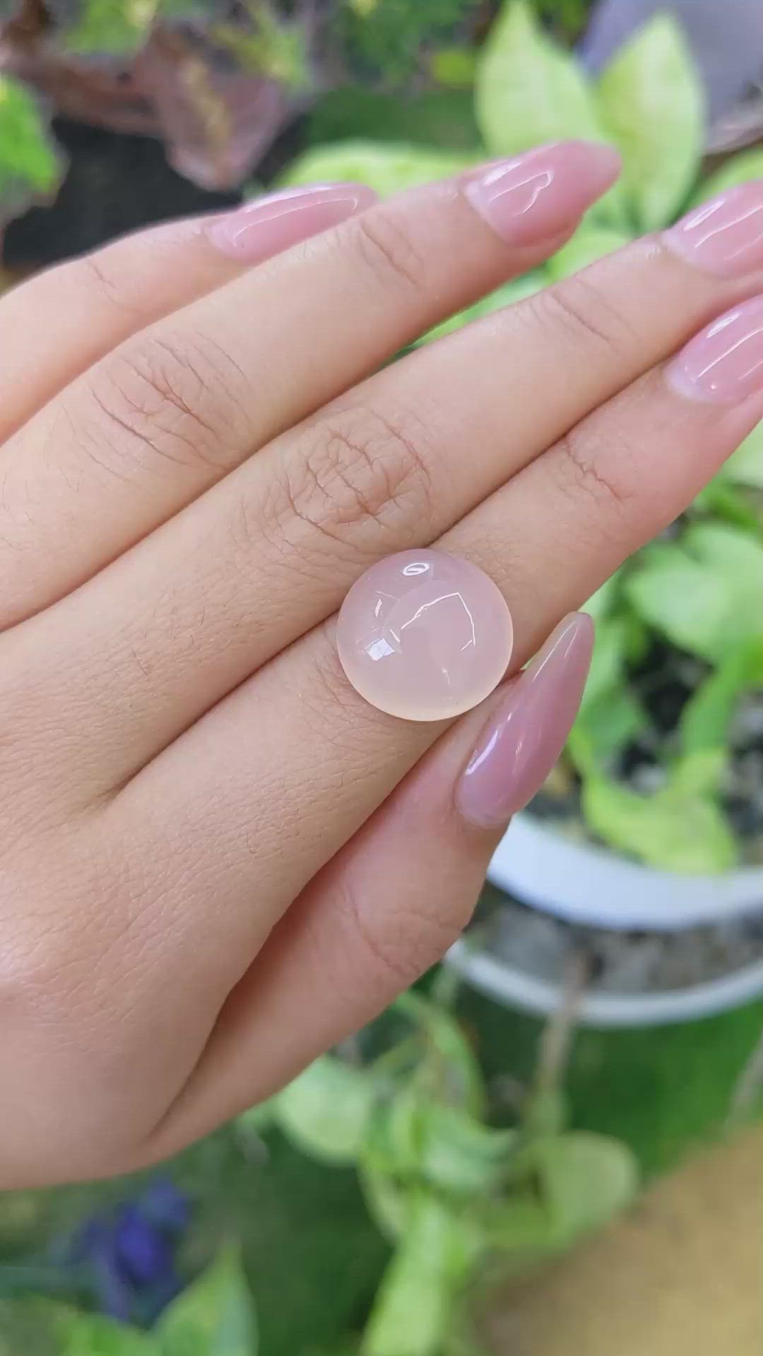 13.11 Ct. Cabochon Rose Quartz from Ceylon (Sri Lanka) Size Video