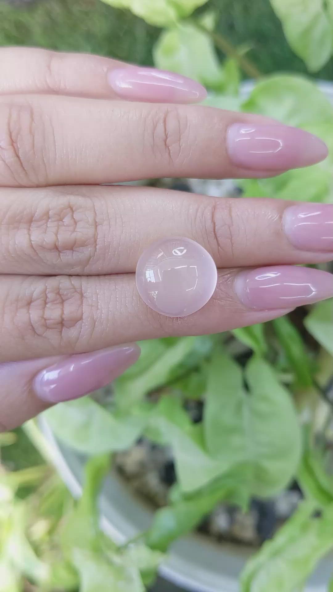 10.23 Ct. Cabochon Rose Quartz from Ceylon (Sri Lanka) Size Video