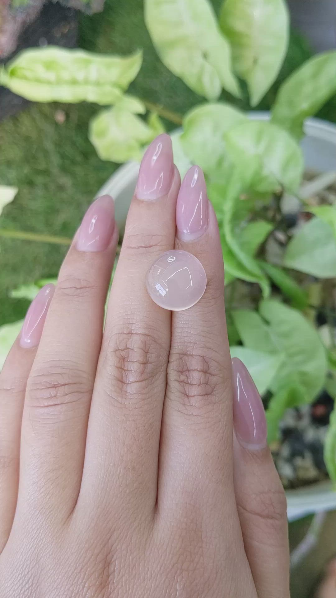 10.23 Ct. Cabochon Rose Quartz from Ceylon (Sri Lanka) Size Video
