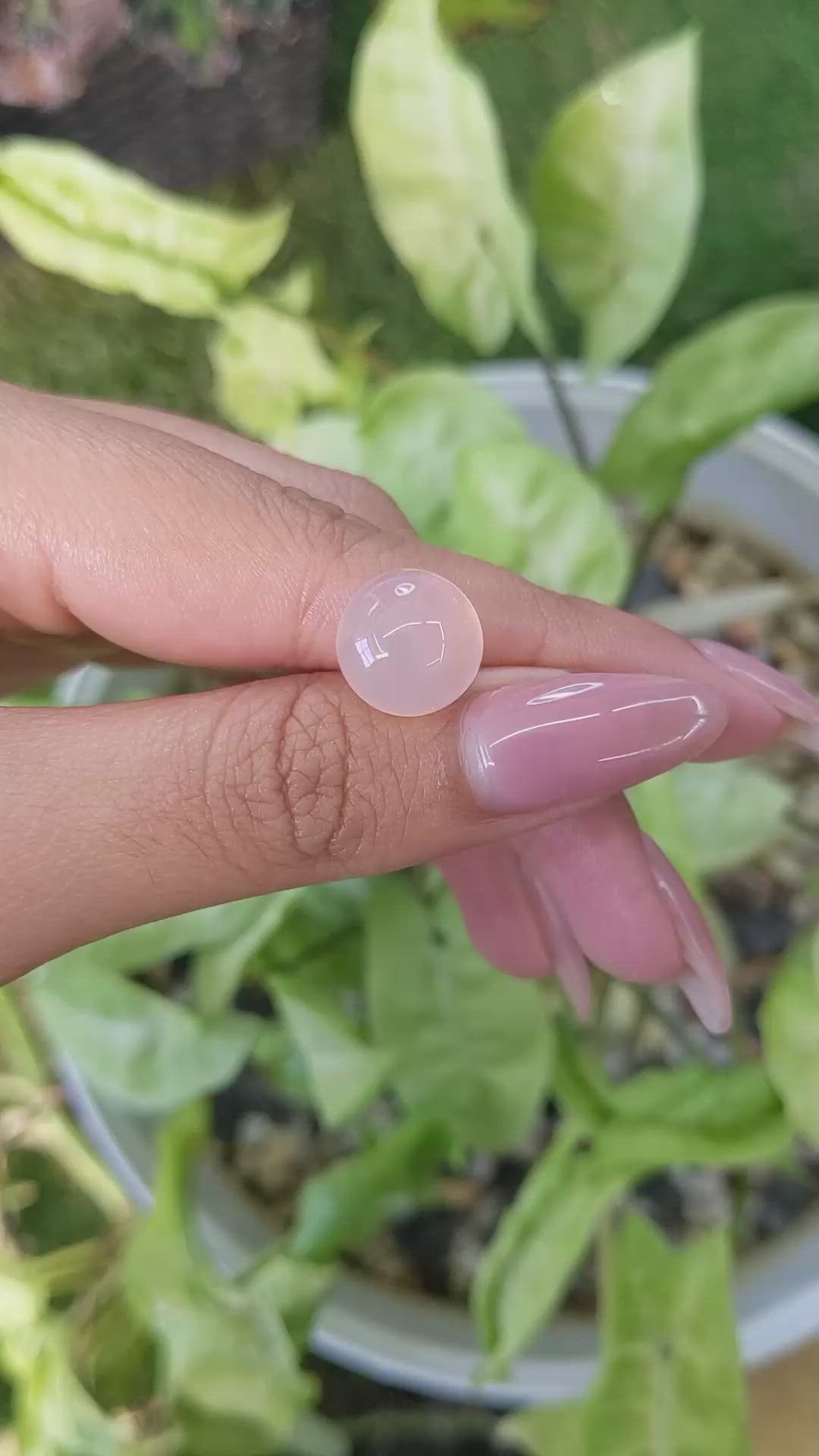 7.42 Ct. Cabochon Rose Quartz from Ceylon (Sri Lanka) Size Video