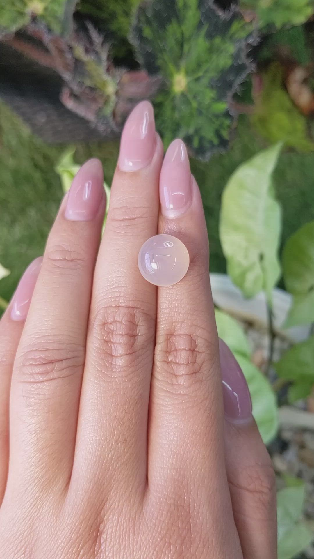 7.42 Ct. Cabochon Rose Quartz from Ceylon (Sri Lanka) Size Video