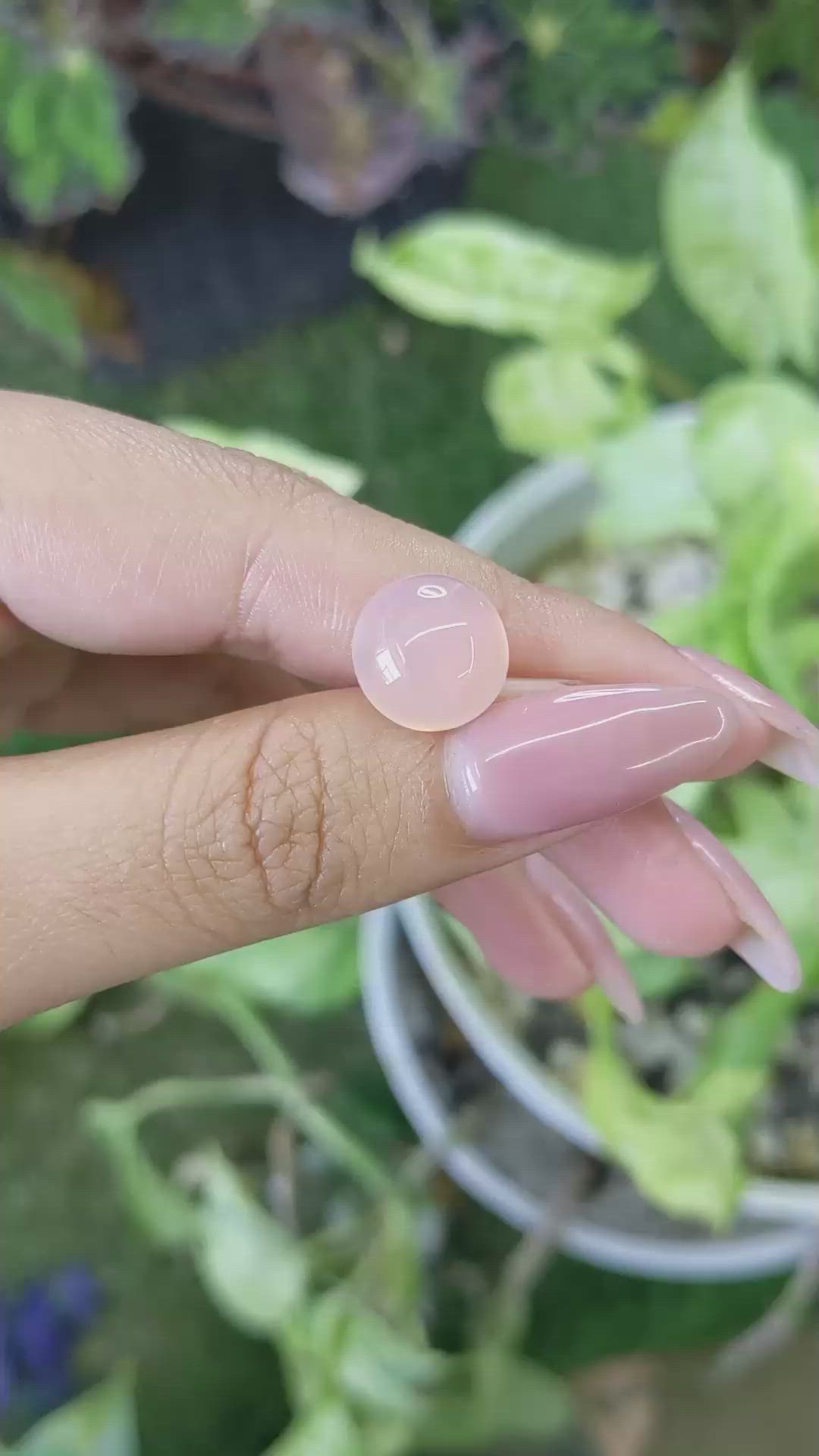 6.03 Ct. Cabochon Rose Quartz from Ceylon (Sri Lanka) Size Video