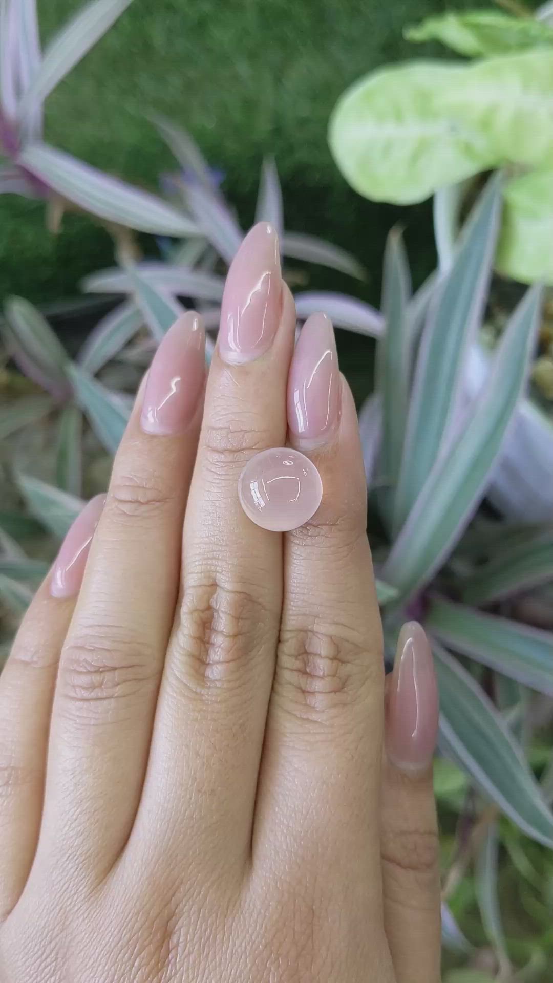 7.26 Ct. Cabochon Rose Quartz from Ceylon (Sri Lanka) Size Video