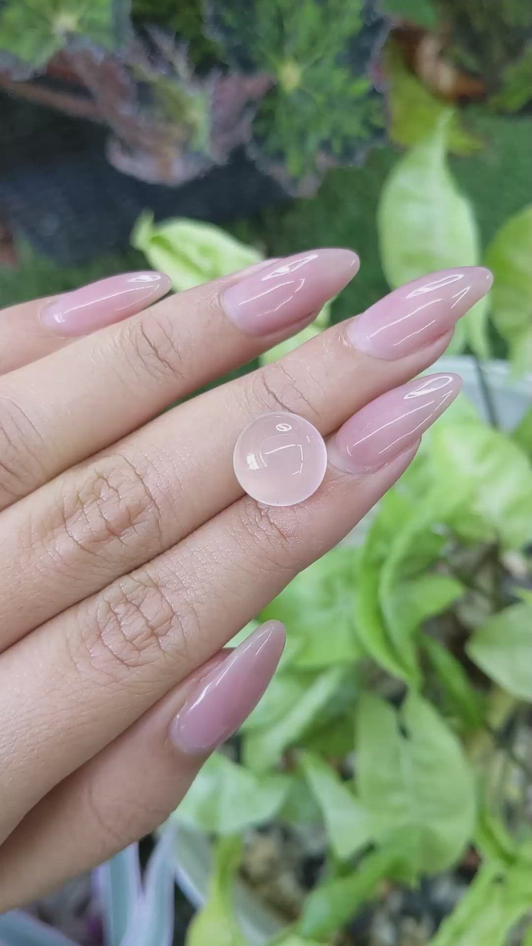7.26 Ct. Cabochon Rose Quartz from Ceylon (Sri Lanka) Size Video