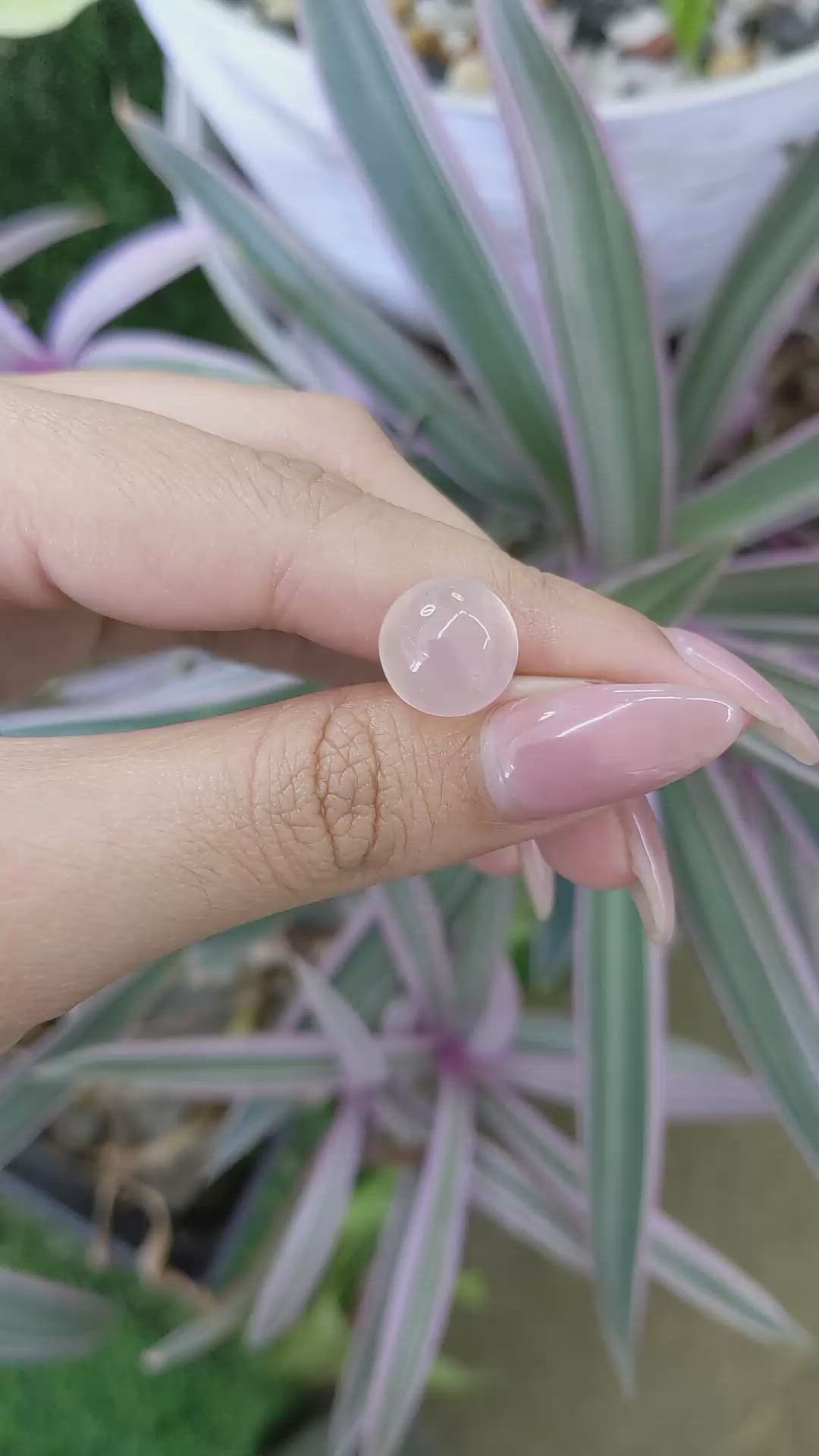 7.26 Ct. Cabochon Rose Quartz from Ceylon (Sri Lanka) Size Video
