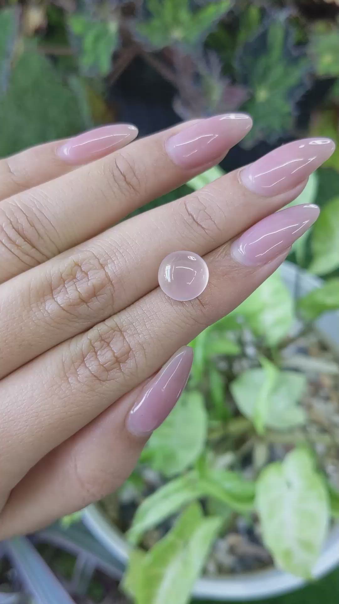 4.18 Ct. Cabochon Rose Quartz from Ceylon (Sri Lanka) Size Video