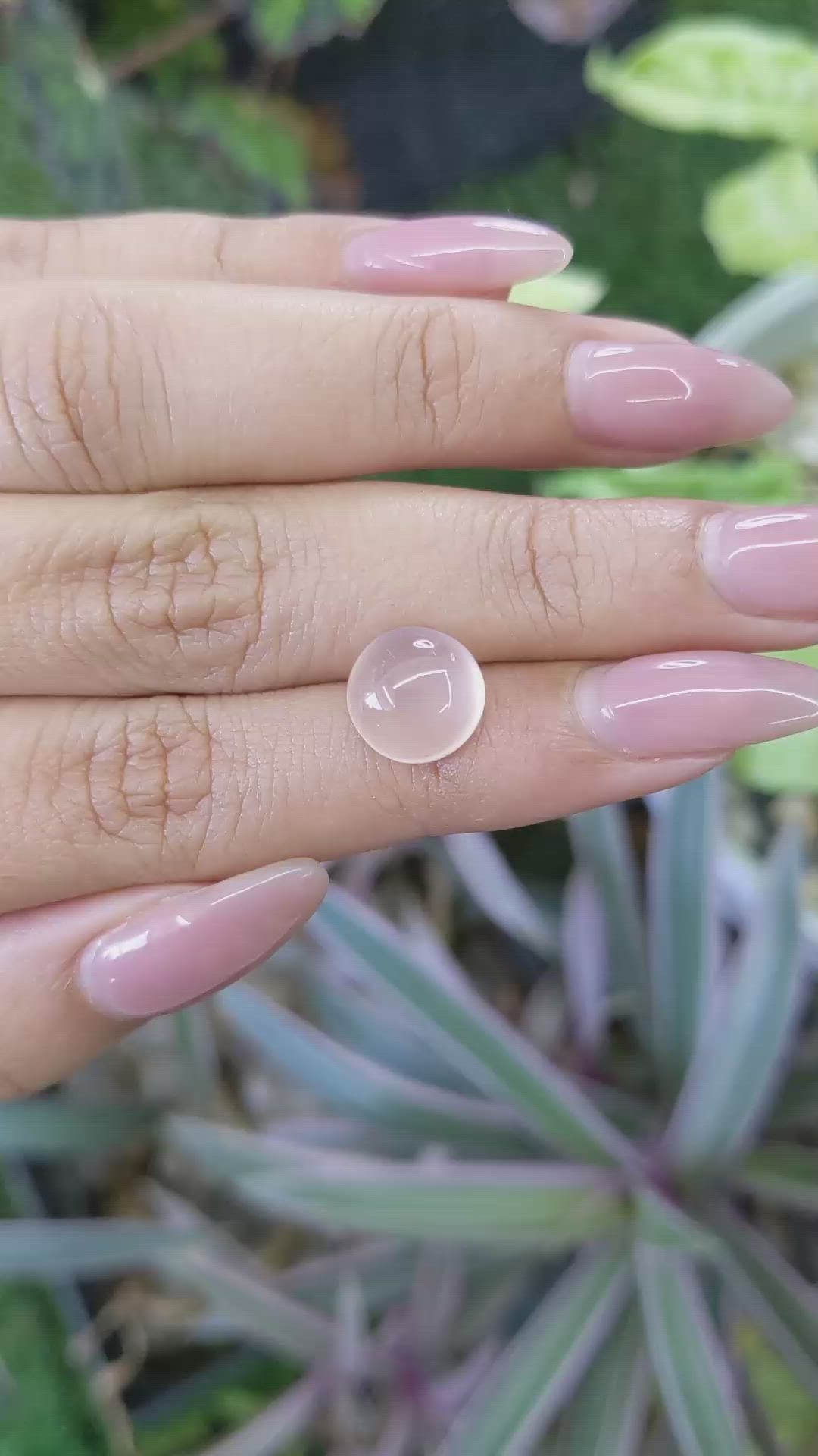 4.18 Ct. Cabochon Rose Quartz from Ceylon (Sri Lanka) Size Video