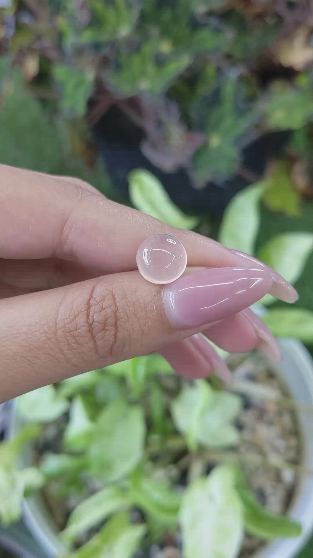 4.18 Ct. Cabochon Rose Quartz from Ceylon (Sri Lanka) Size Video