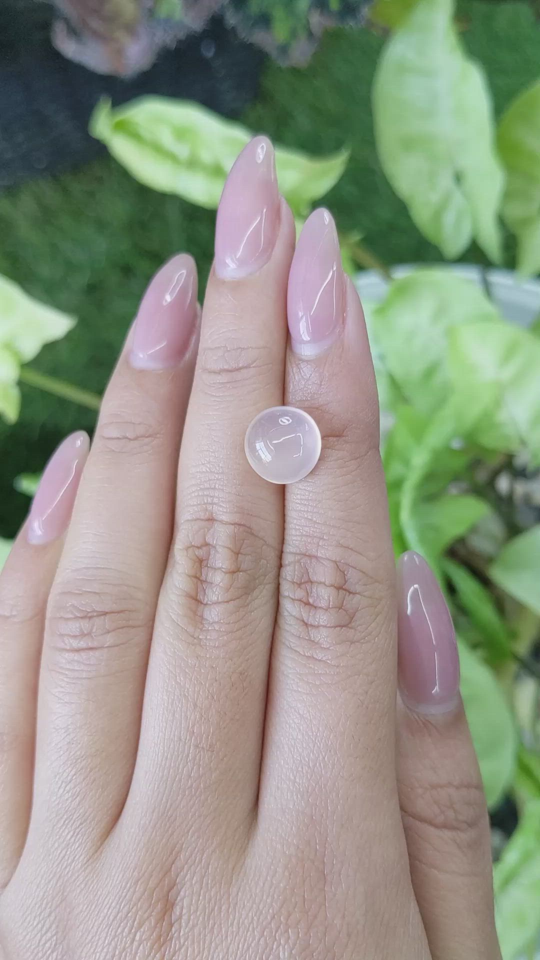 4.24 Ct. Cabochon Rose Quartz from Ceylon (Sri Lanka) Size Video