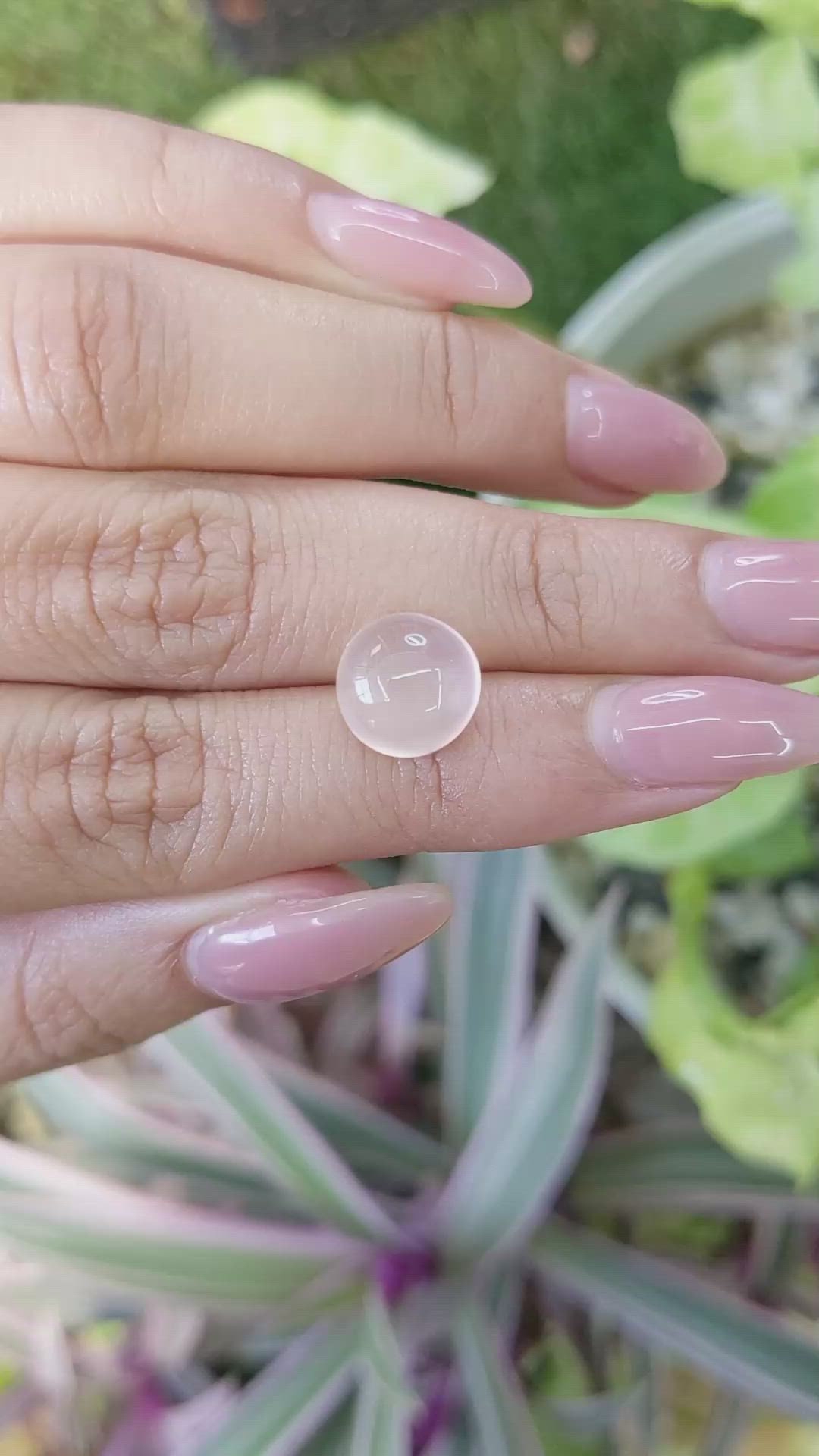 4.24 Ct. Cabochon Rose Quartz from Ceylon (Sri Lanka) Size Video