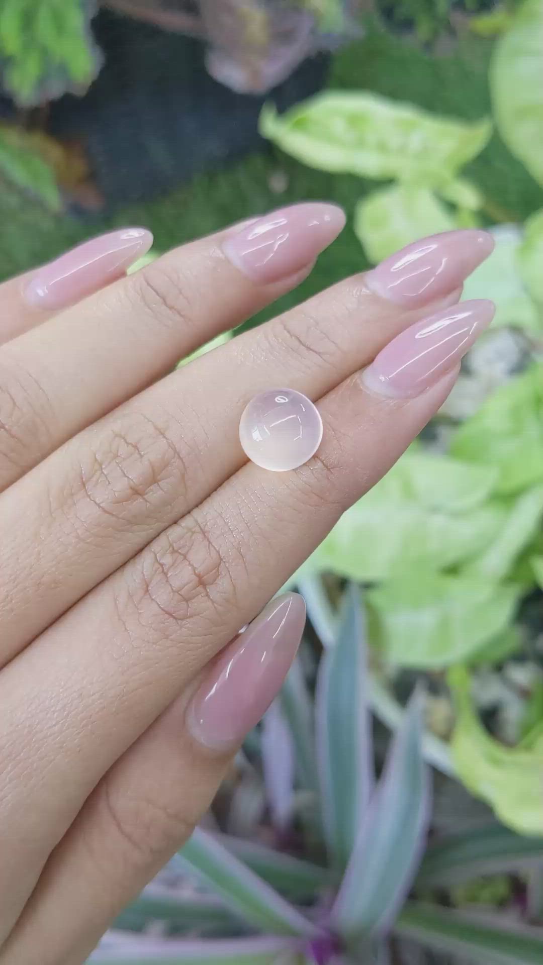 4.24 Ct. Cabochon Rose Quartz from Ceylon (Sri Lanka) Size Video