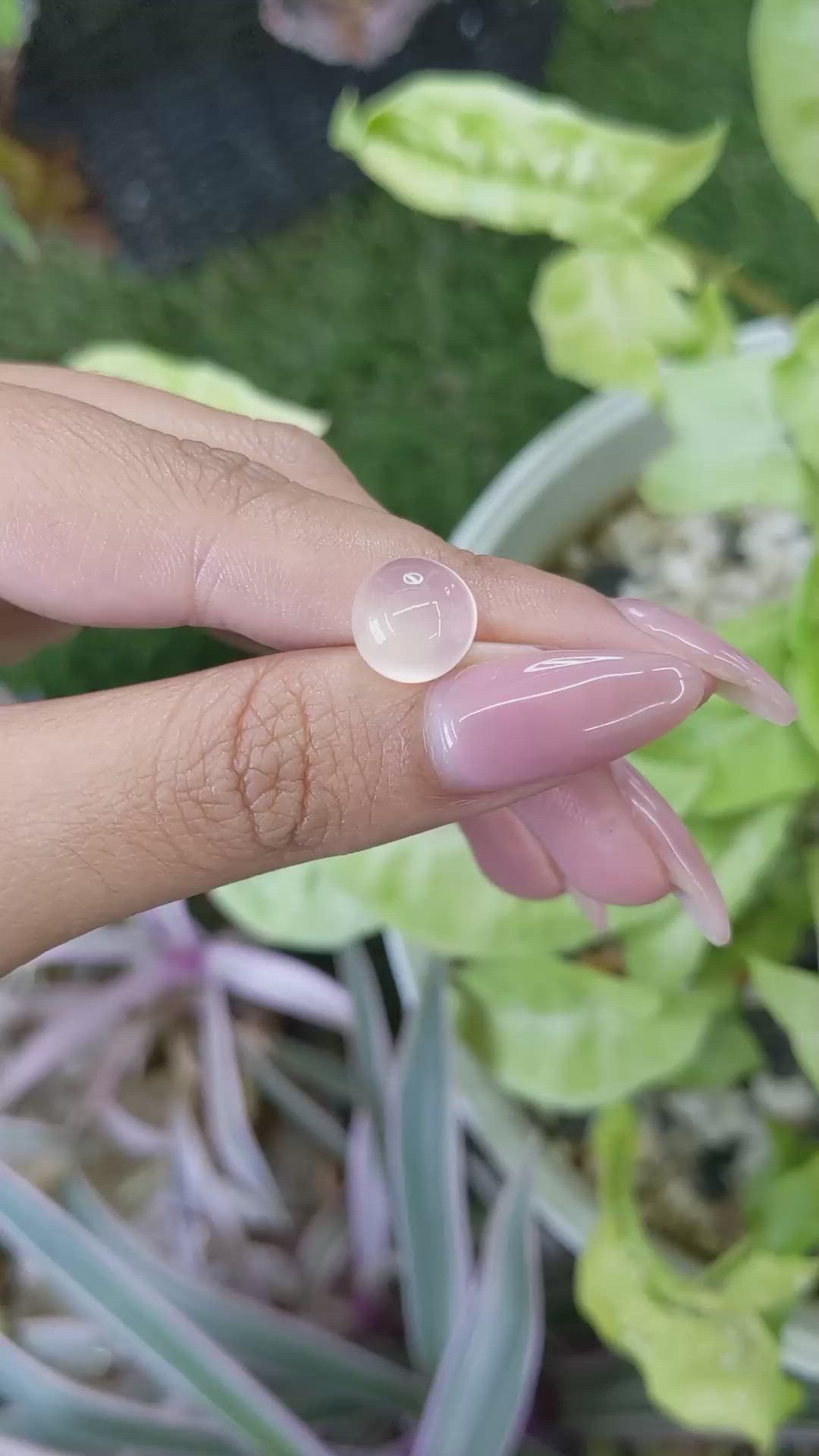 4.24 Ct. Cabochon Rose Quartz from Ceylon (Sri Lanka) Size Video