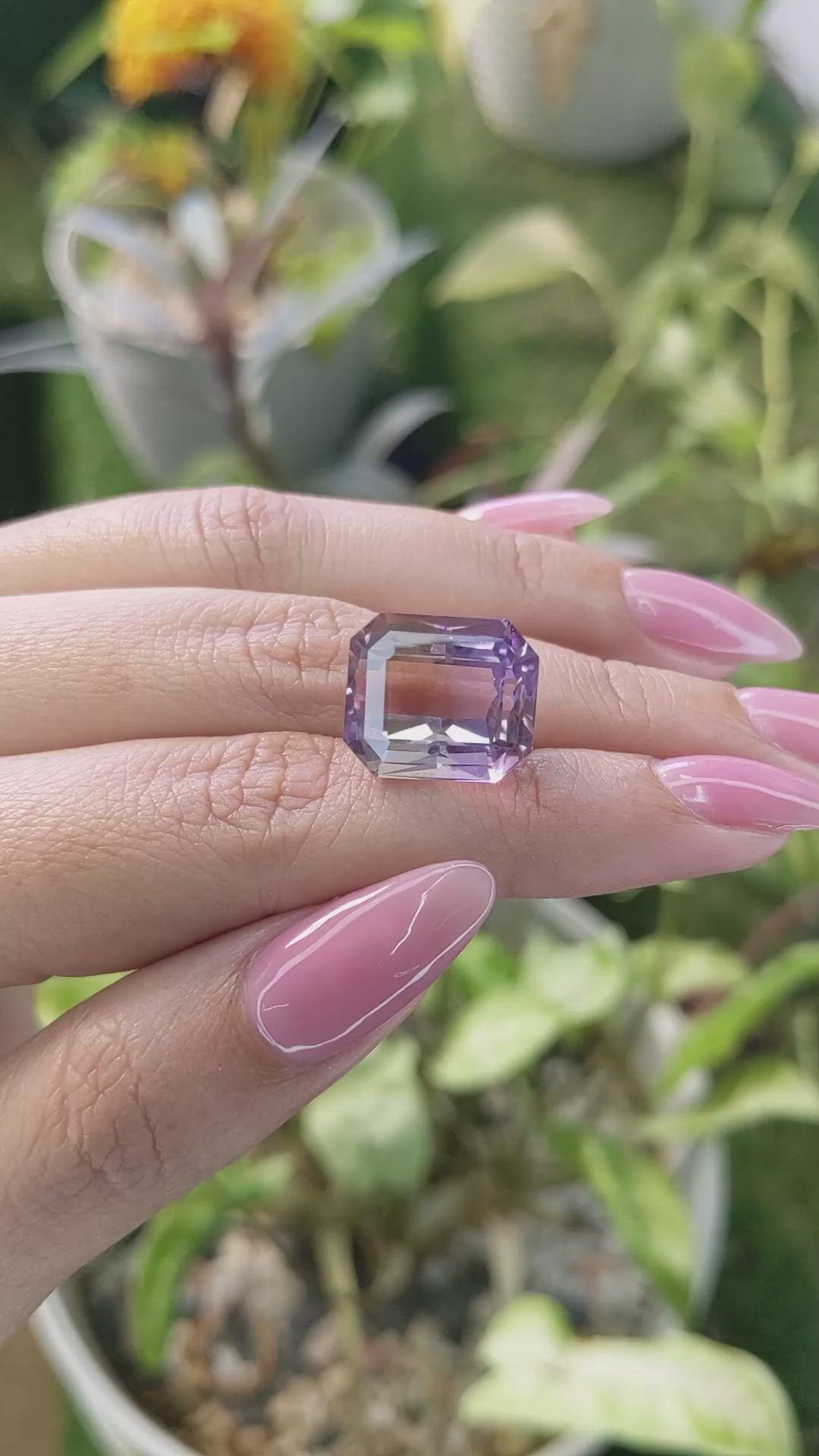 16.76 Ct. Ametrine from Ceylon (Sri Lanka) Size Video