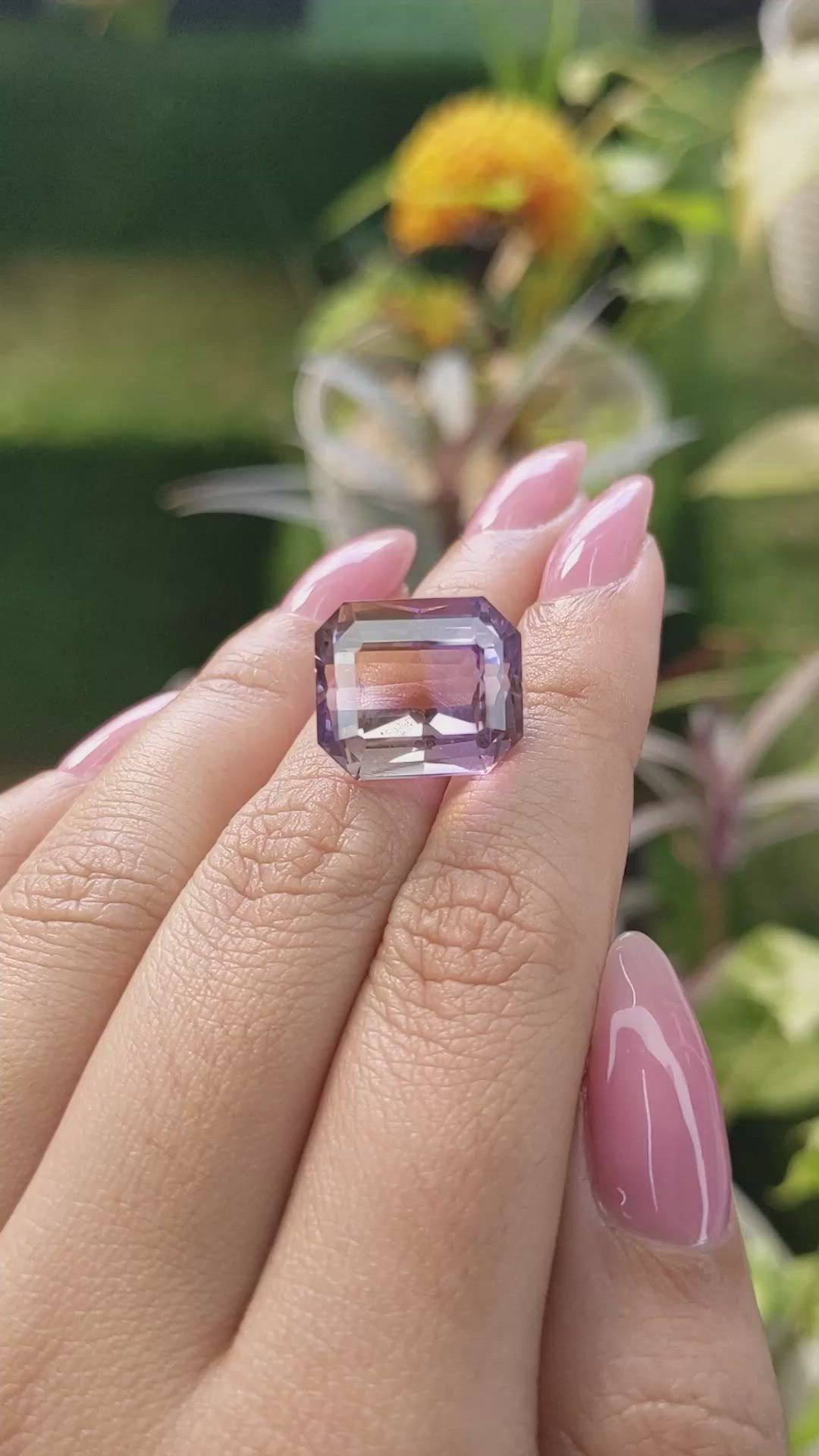16.76 Ct. Ametrine from Ceylon (Sri Lanka) Size Video