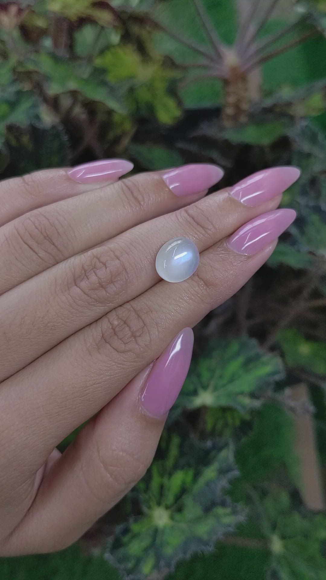5.09 Ct. Cabochon Moonstone from Ceylon (Sri Lanka) Size Video