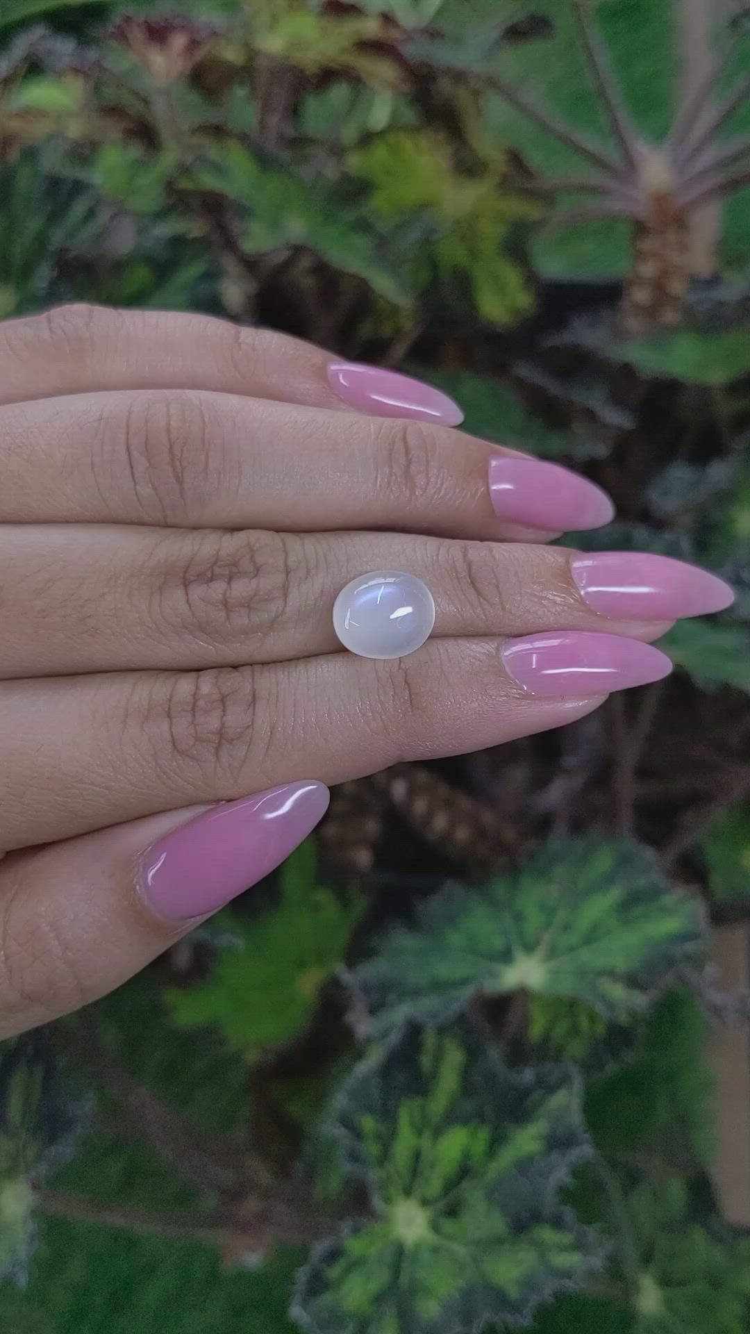 5.09 Ct. Cabochon Moonstone from Ceylon (Sri Lanka) Size Video