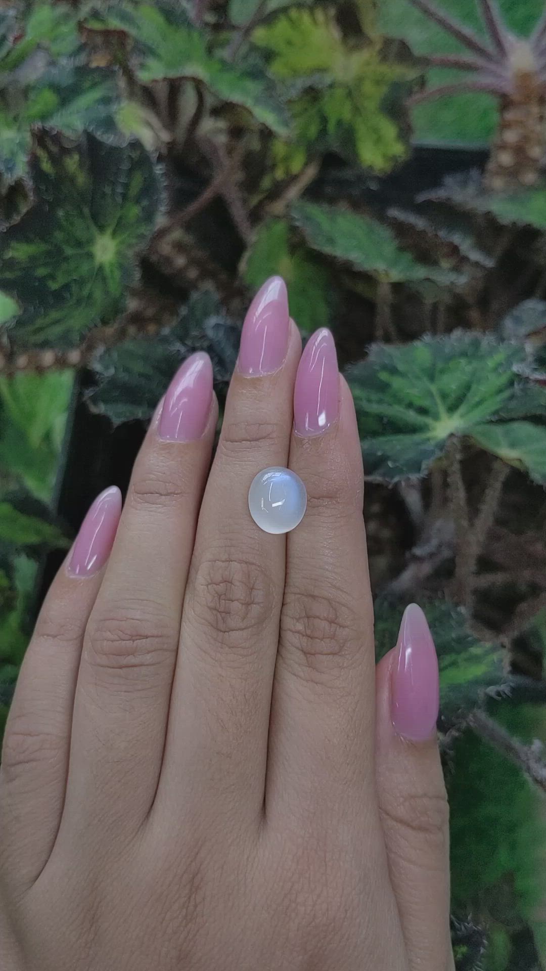 5.09 Ct. Cabochon Moonstone from Ceylon (Sri Lanka) Size Video