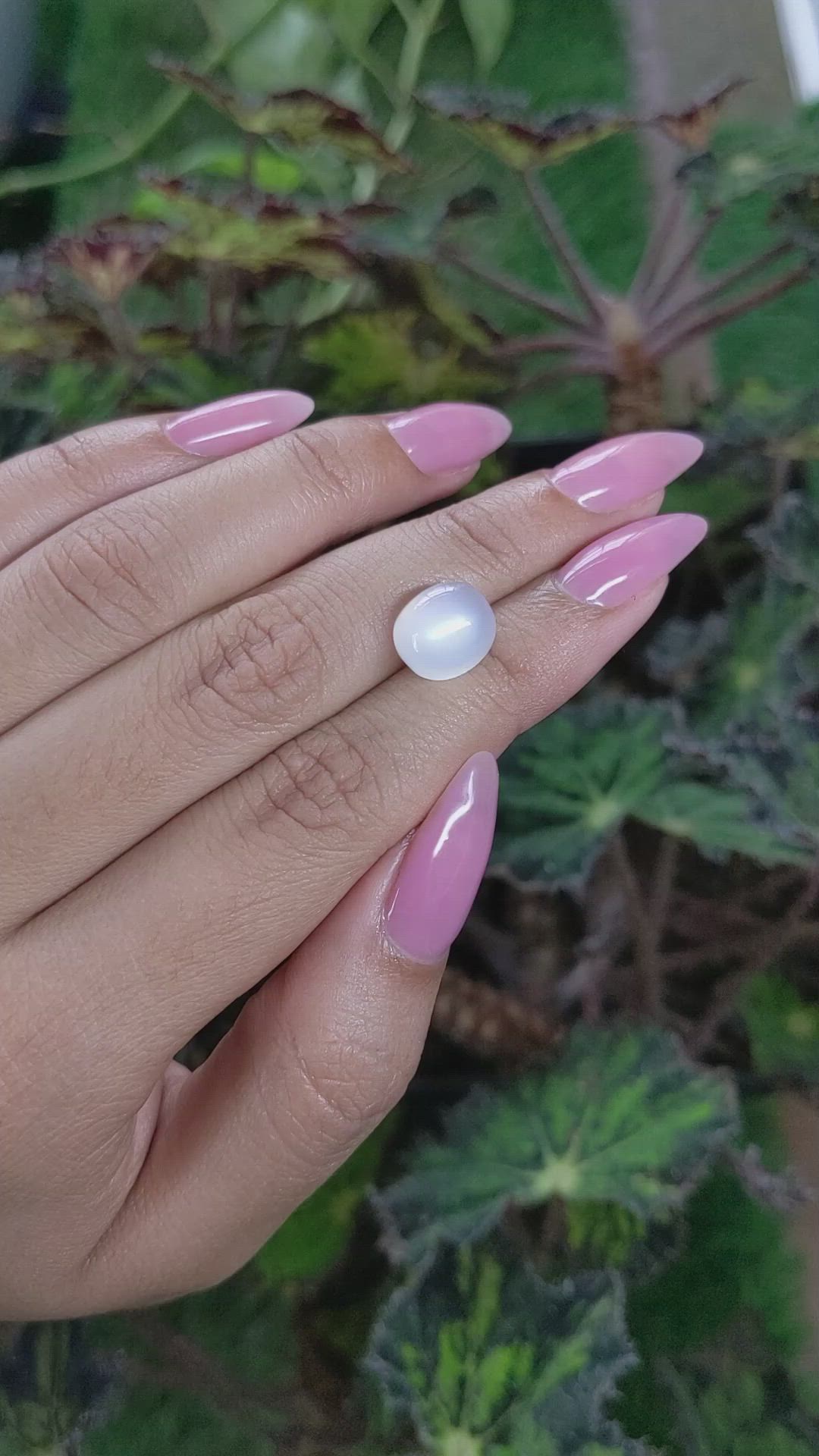 5.11 Ct. Cabochon Moonstone from Ceylon (Sri Lanka) Size Video