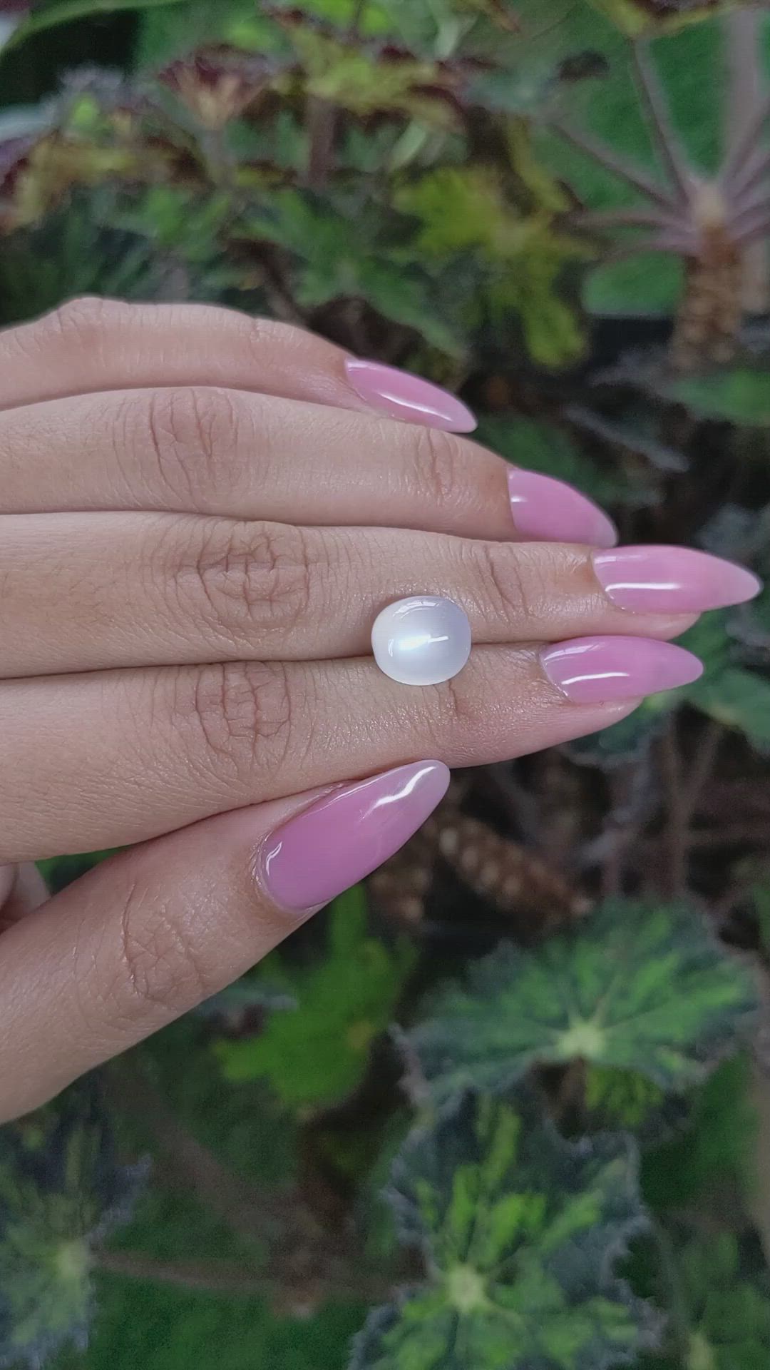 5.11 Ct. Cabochon Moonstone from Ceylon (Sri Lanka) Size Video