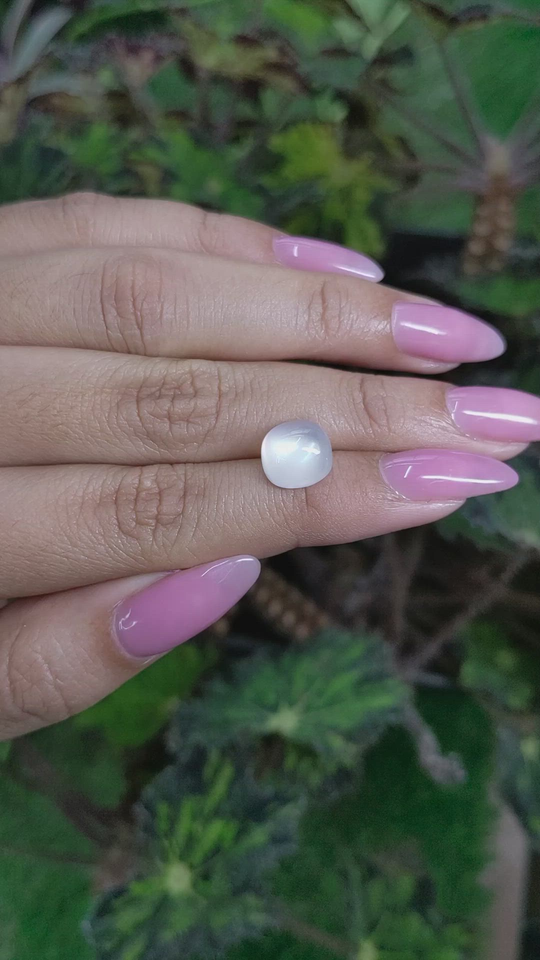4.69 Ct. Cabochon Moonstone from Ceylon (Sri Lanka) Size Video