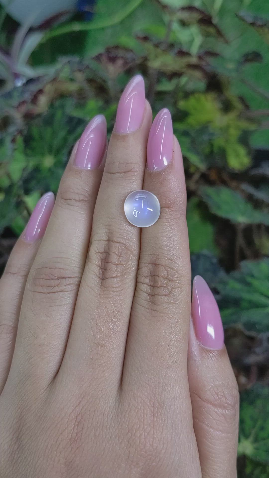 4.49 Ct. Cabochon Moonstone from Ceylon (Sri Lanka) Size Video