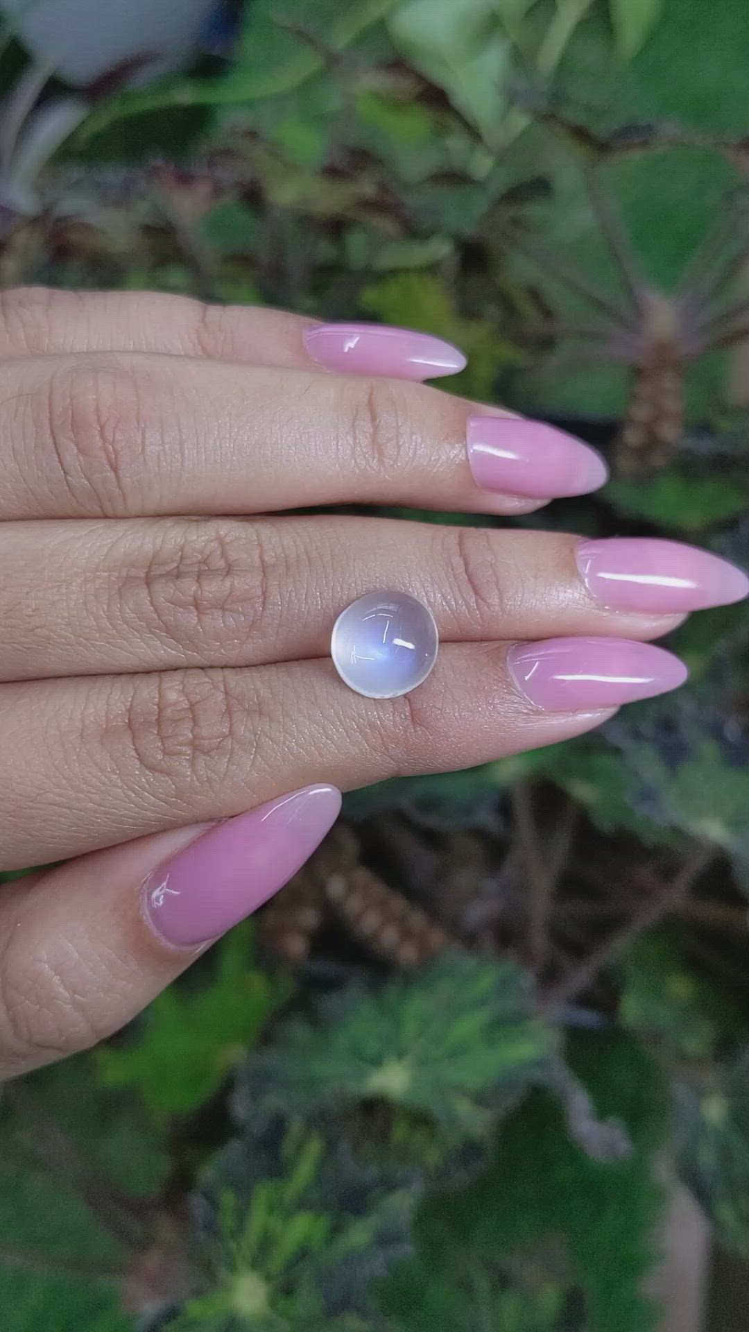 4.49 Ct. Cabochon Moonstone from Ceylon (Sri Lanka) Size Video